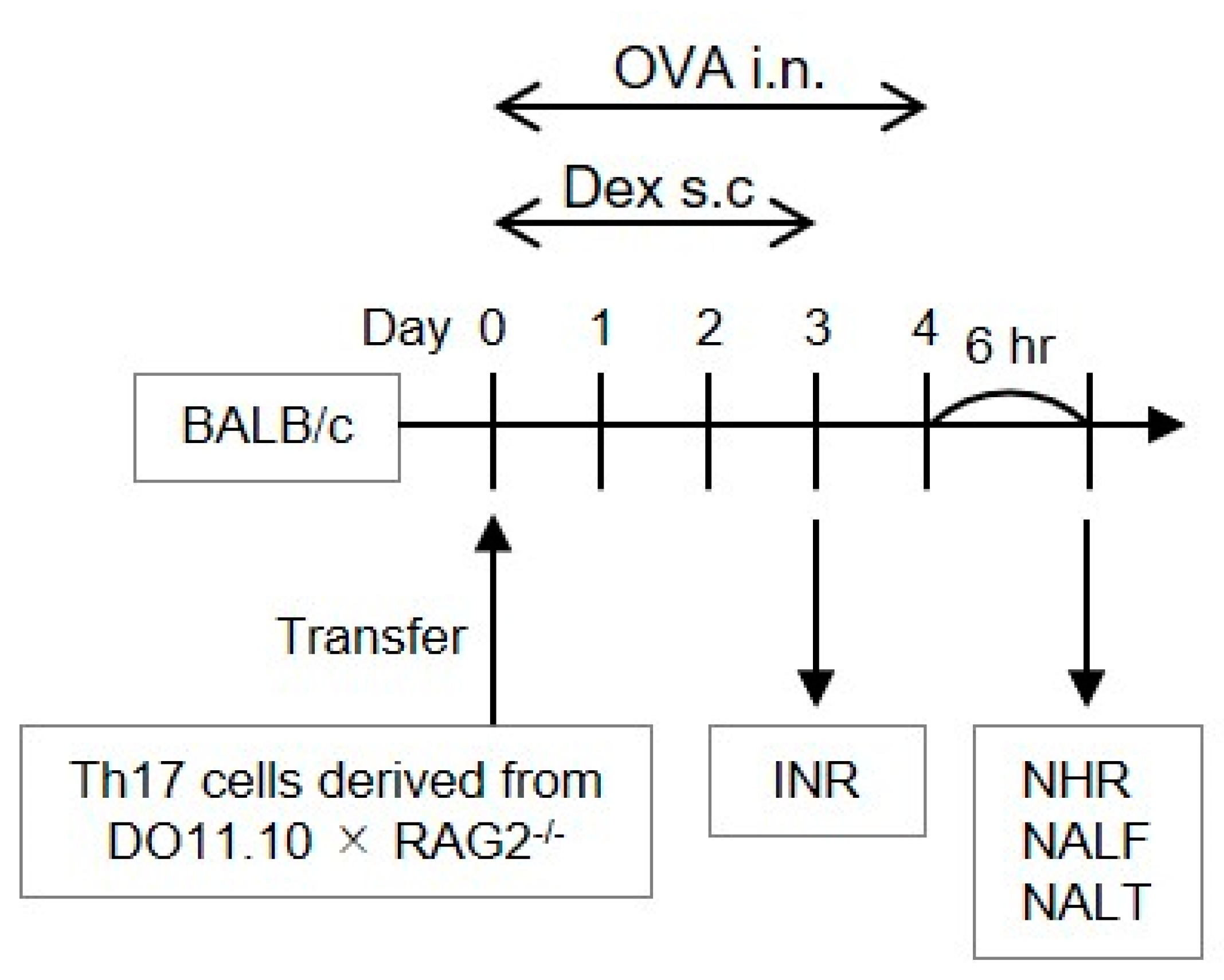Biomolecules 12 00674 g001