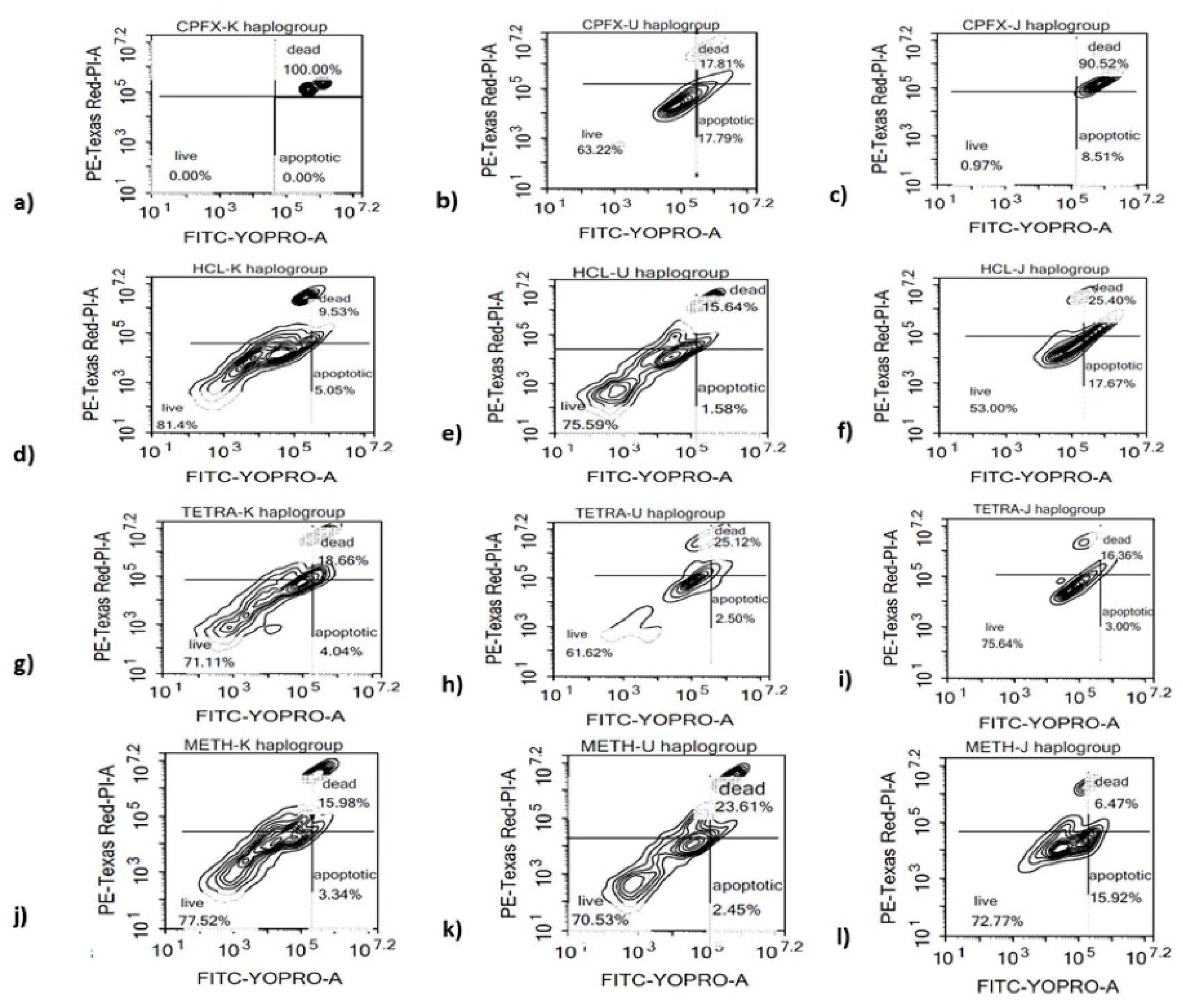Biomolecules 12 00675 g002