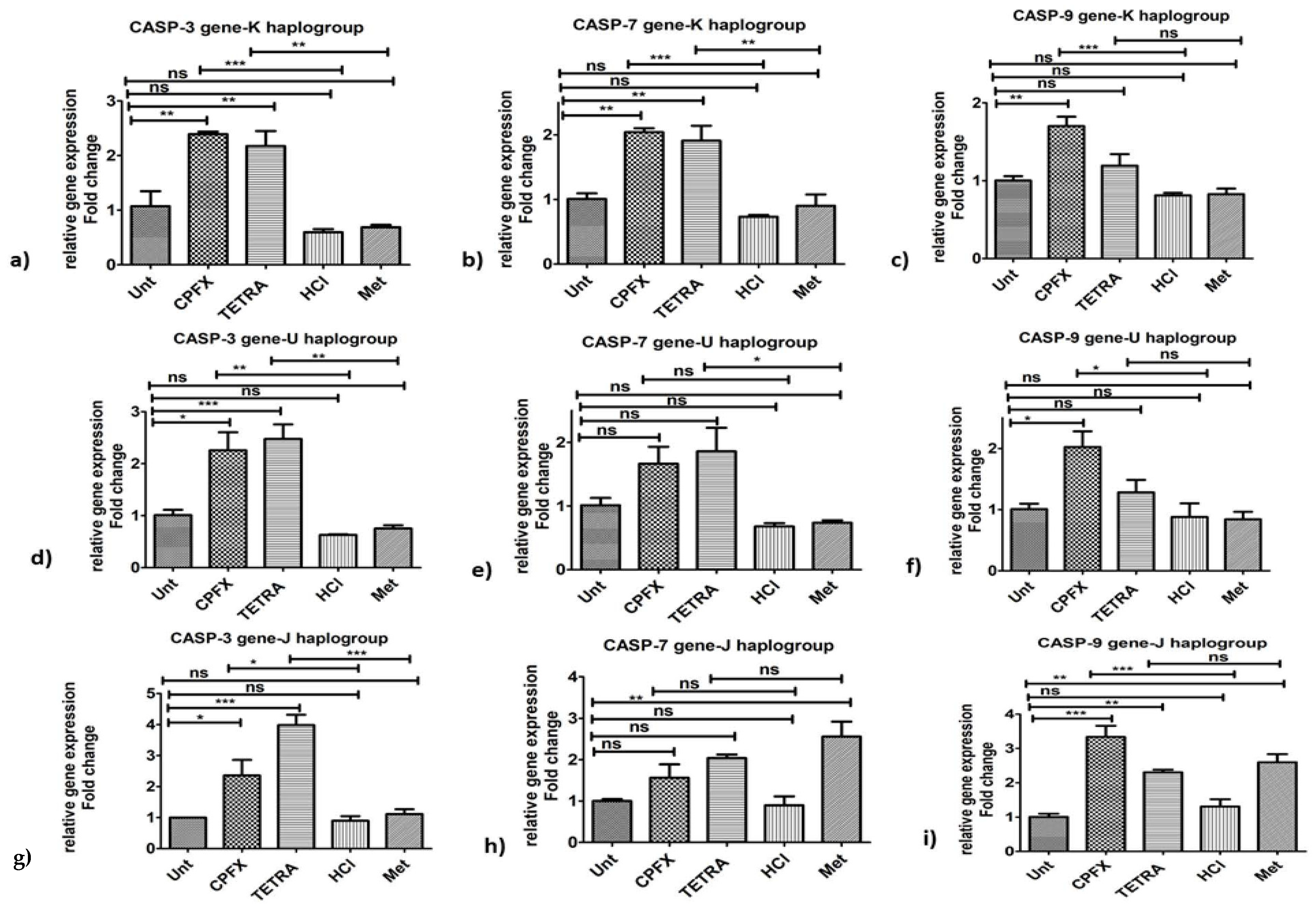 Biomolecules 12 00675 g004