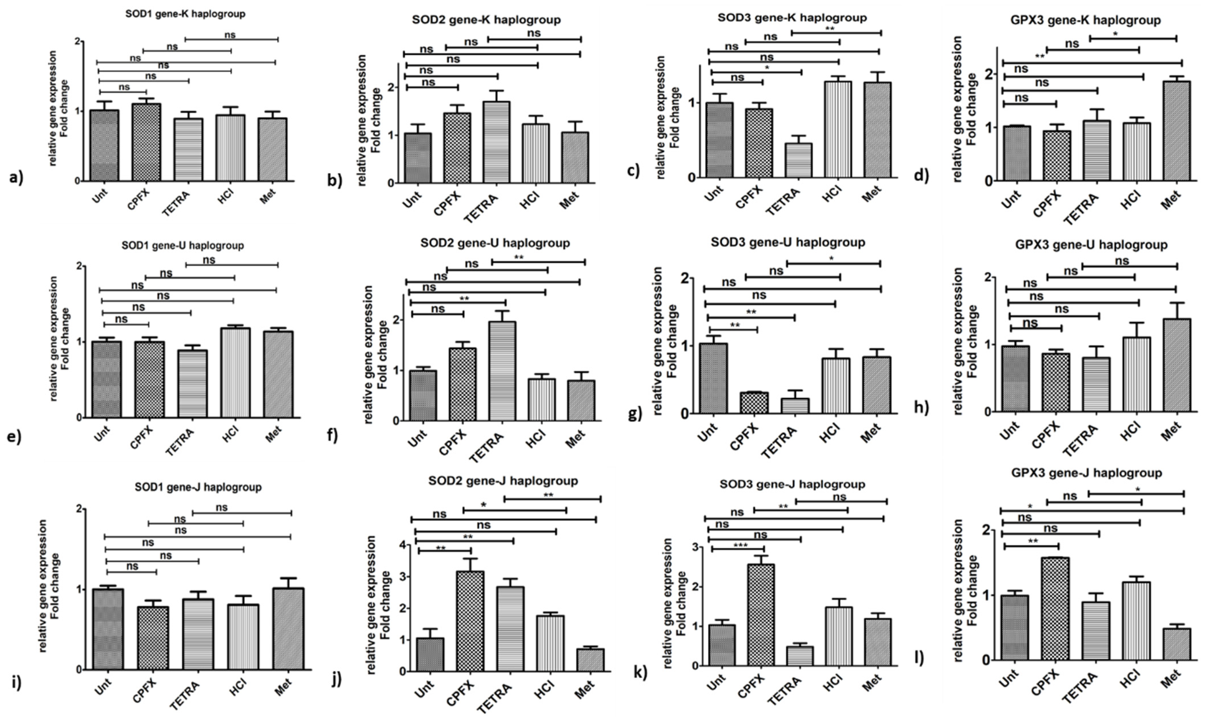Biomolecules 12 00675 g005