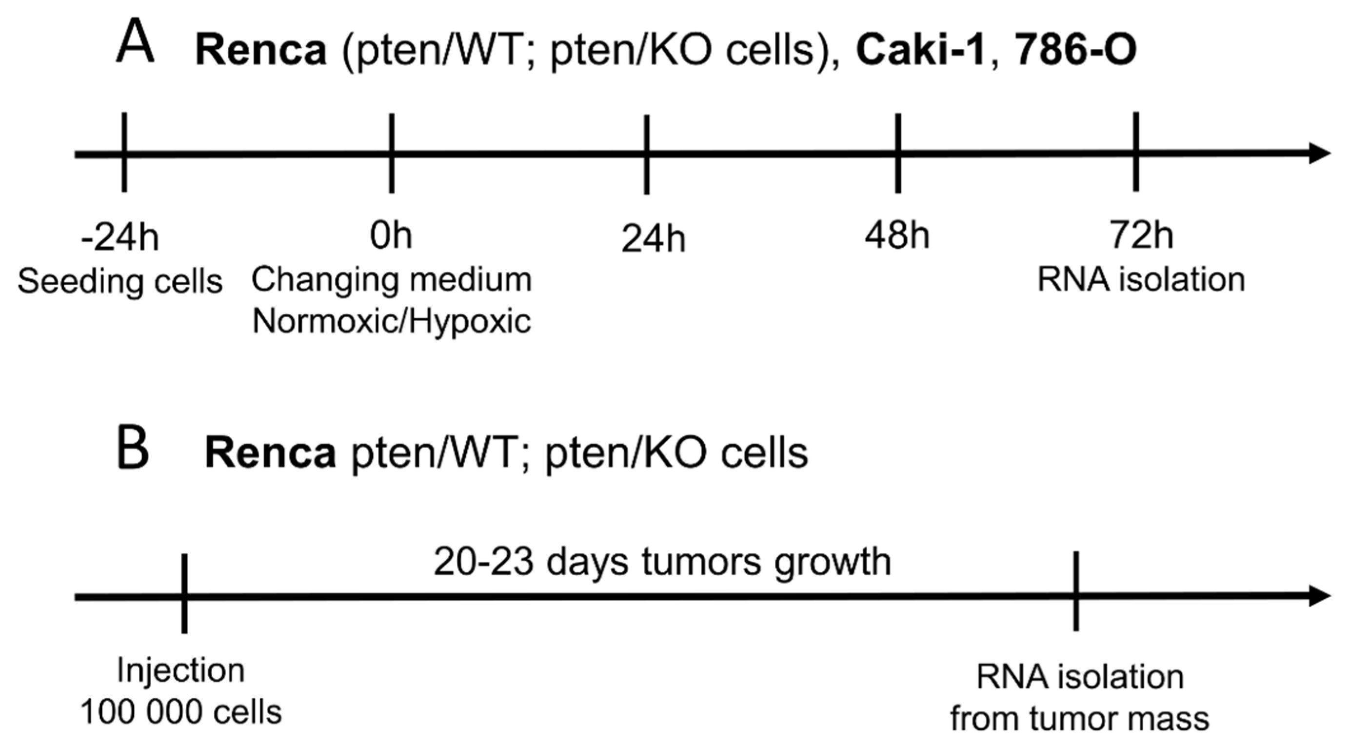 Biomolecules 12 00686 g001