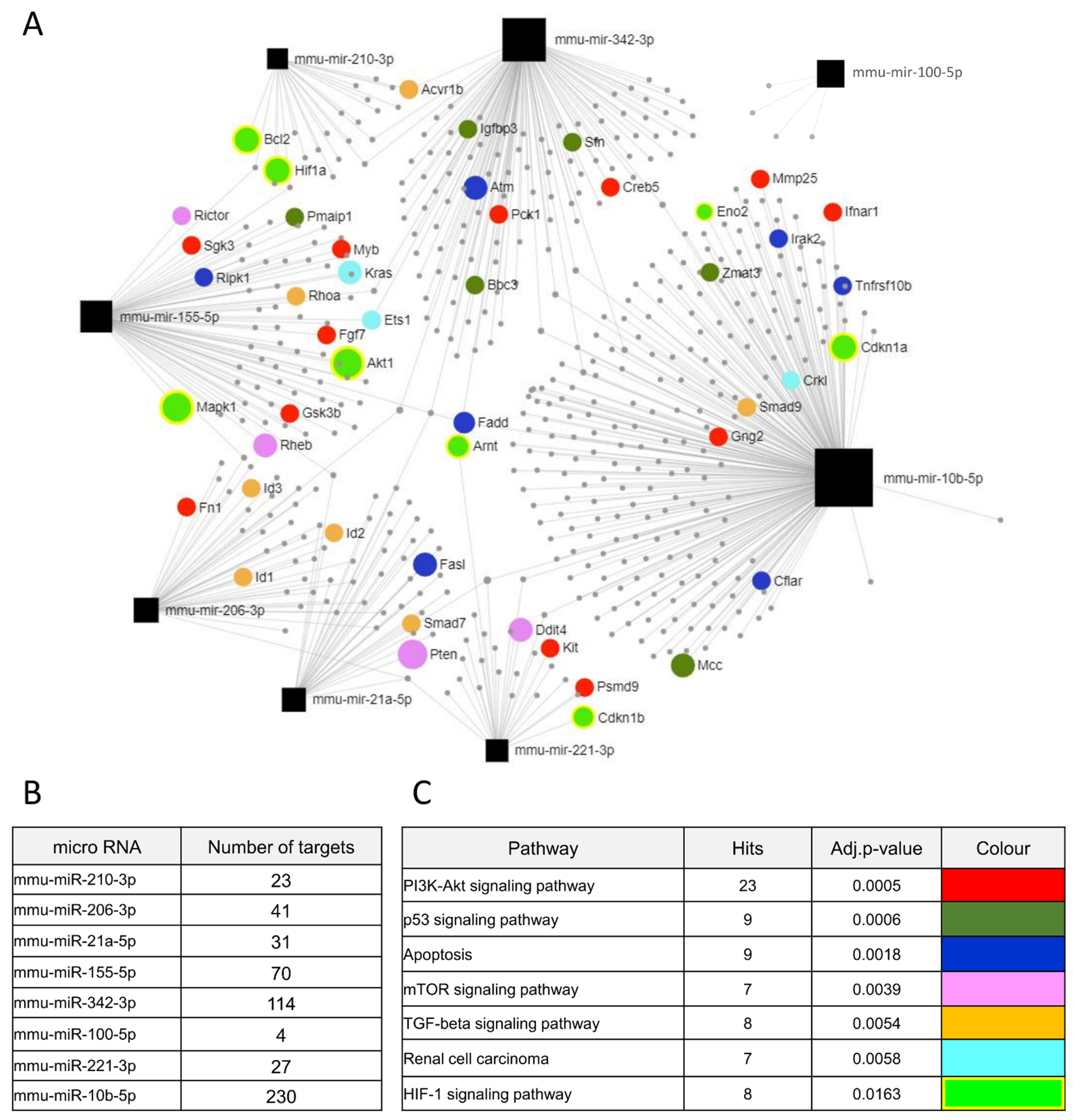 Biomolecules 12 00686 g006