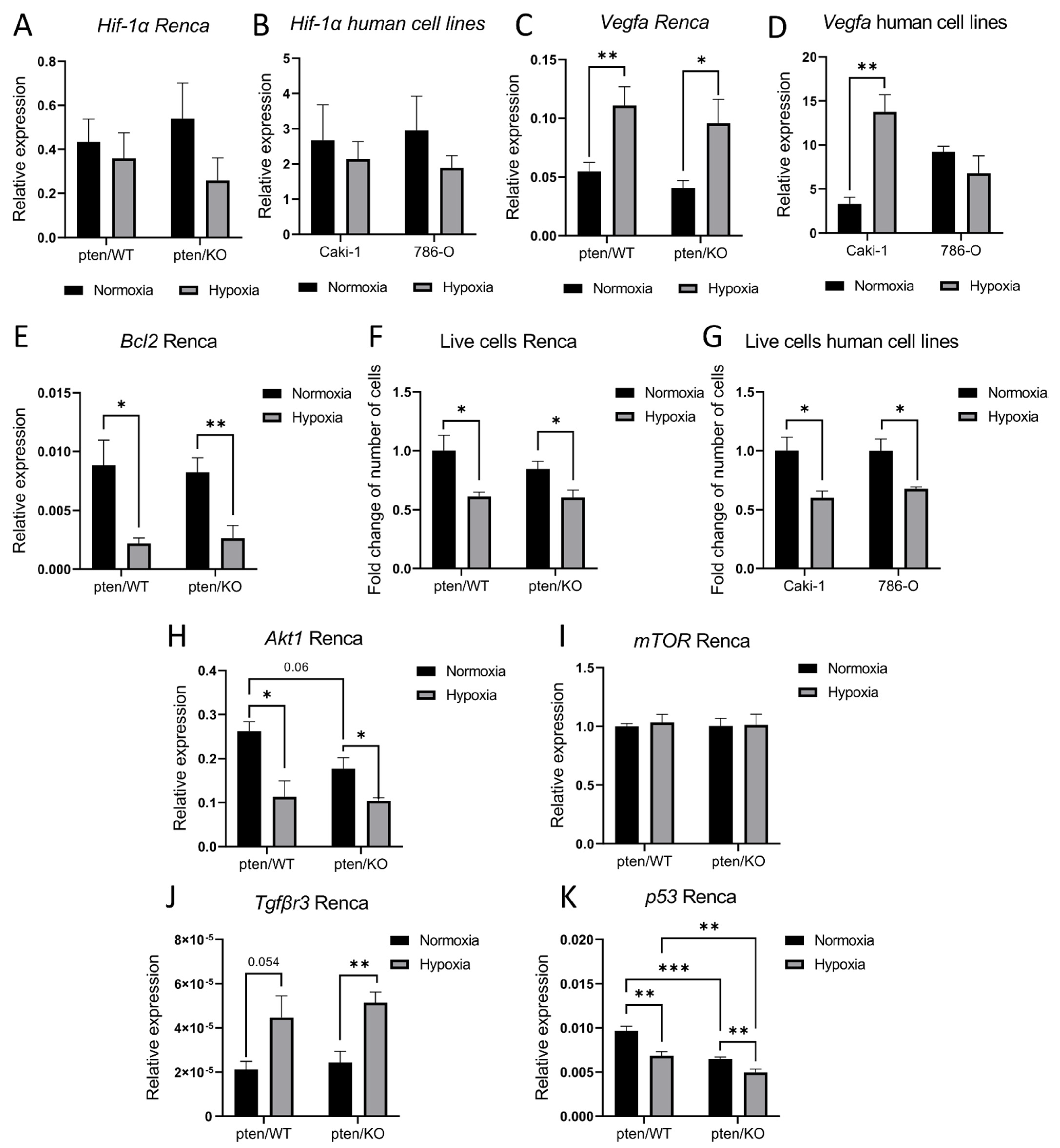 Biomolecules 12 00686 g007