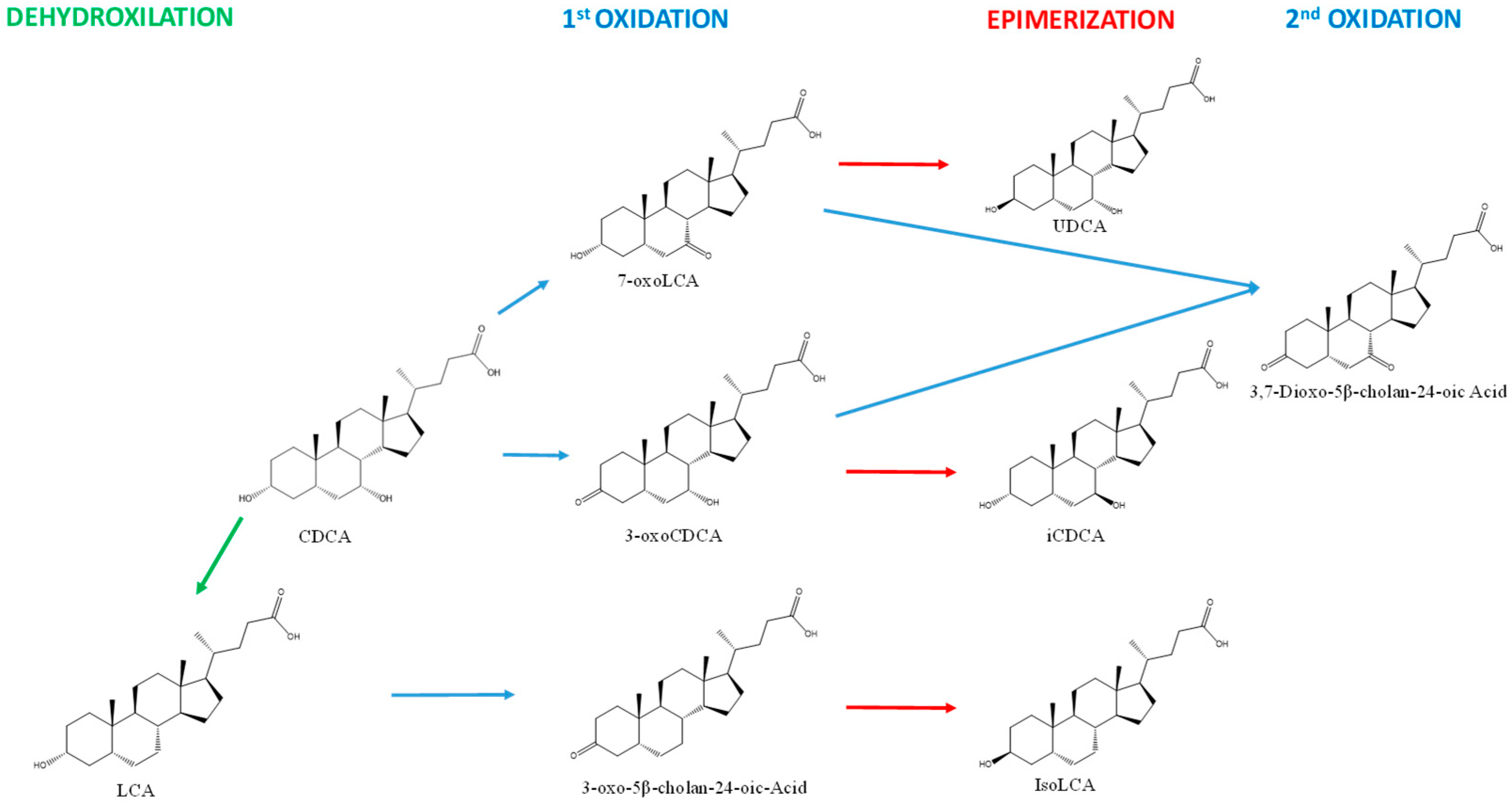 Biomolecules 12 00687 g001