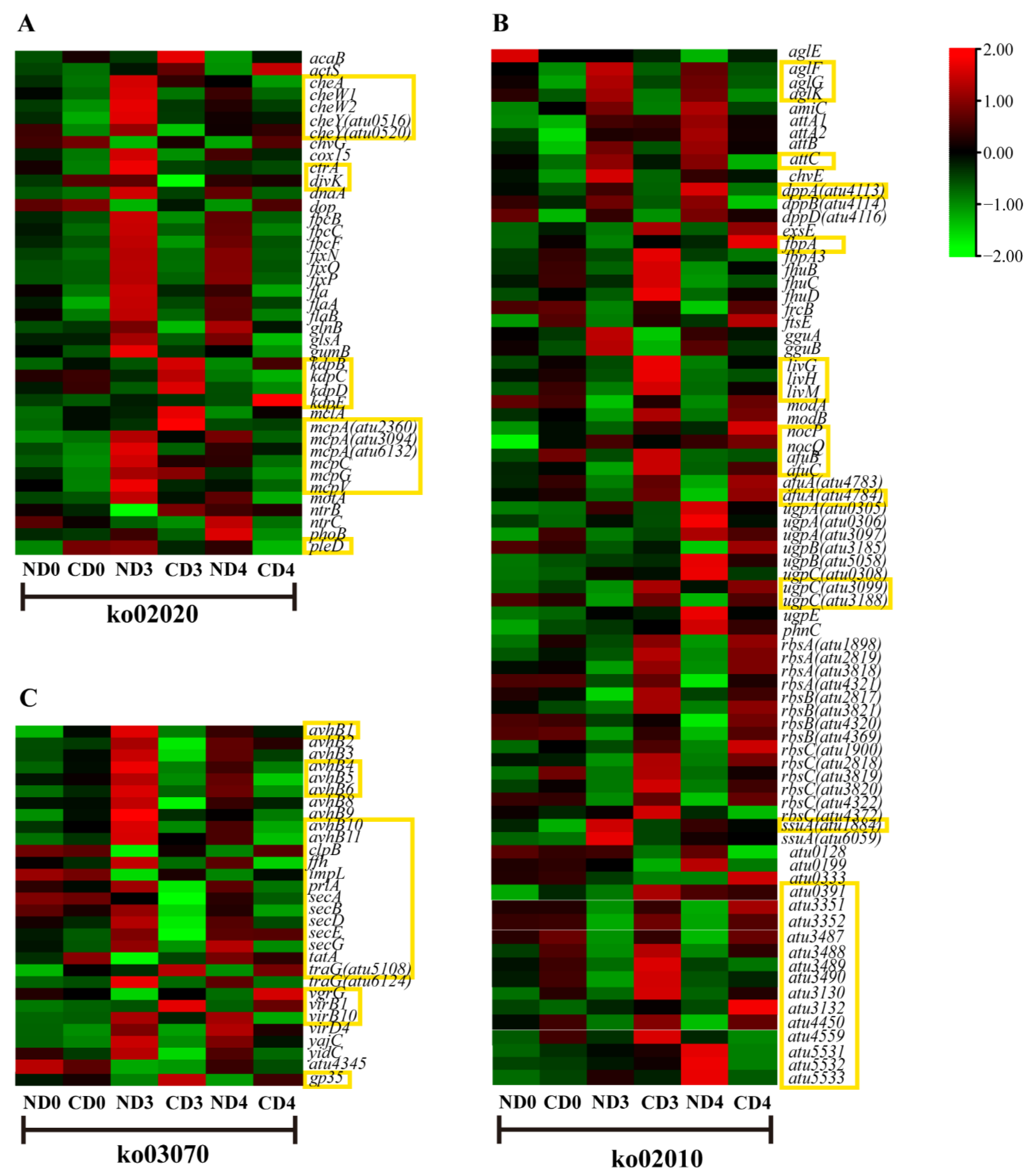 Biomolecules 12 00688 g003
