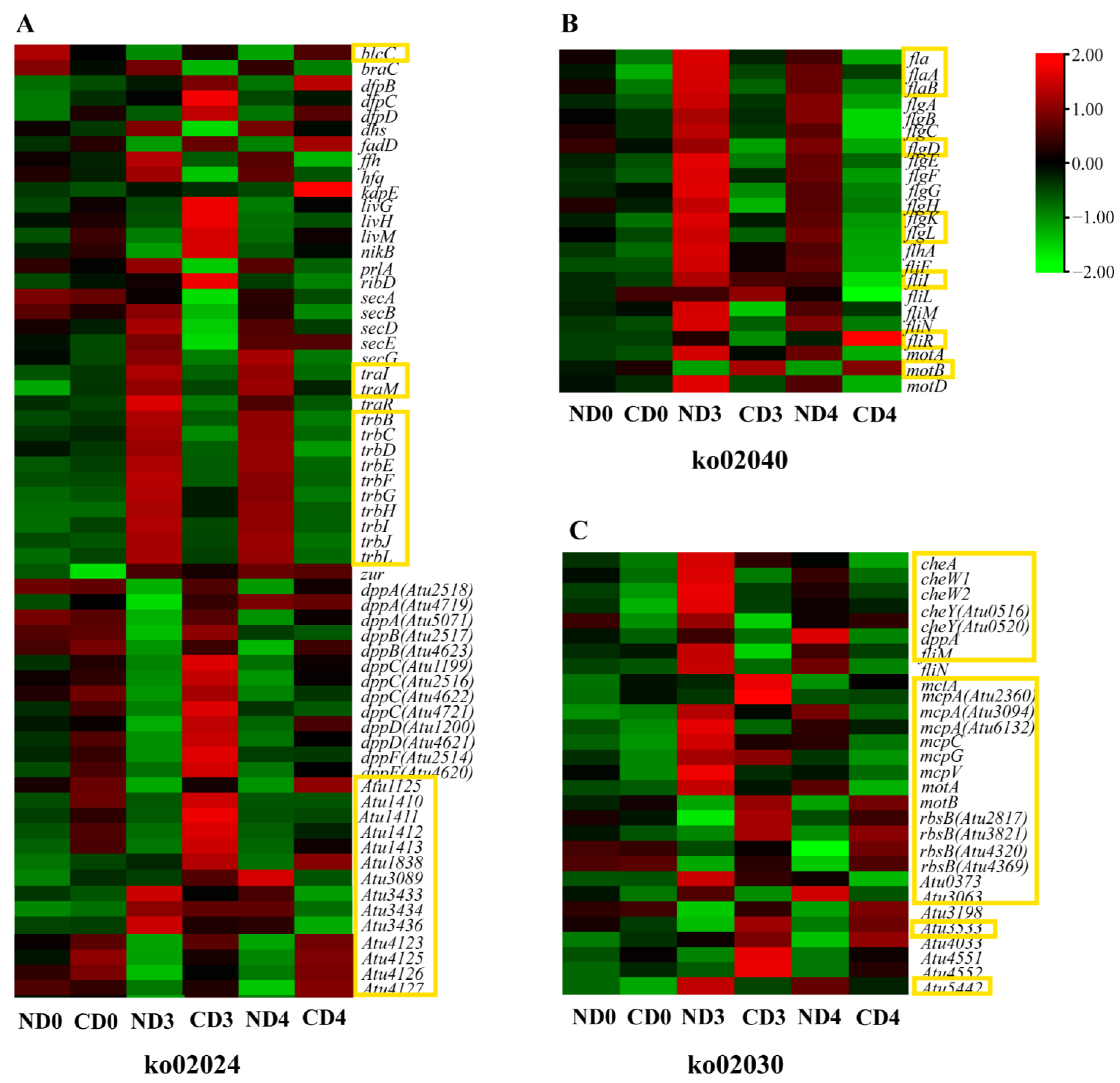 Biomolecules 12 00688 g004