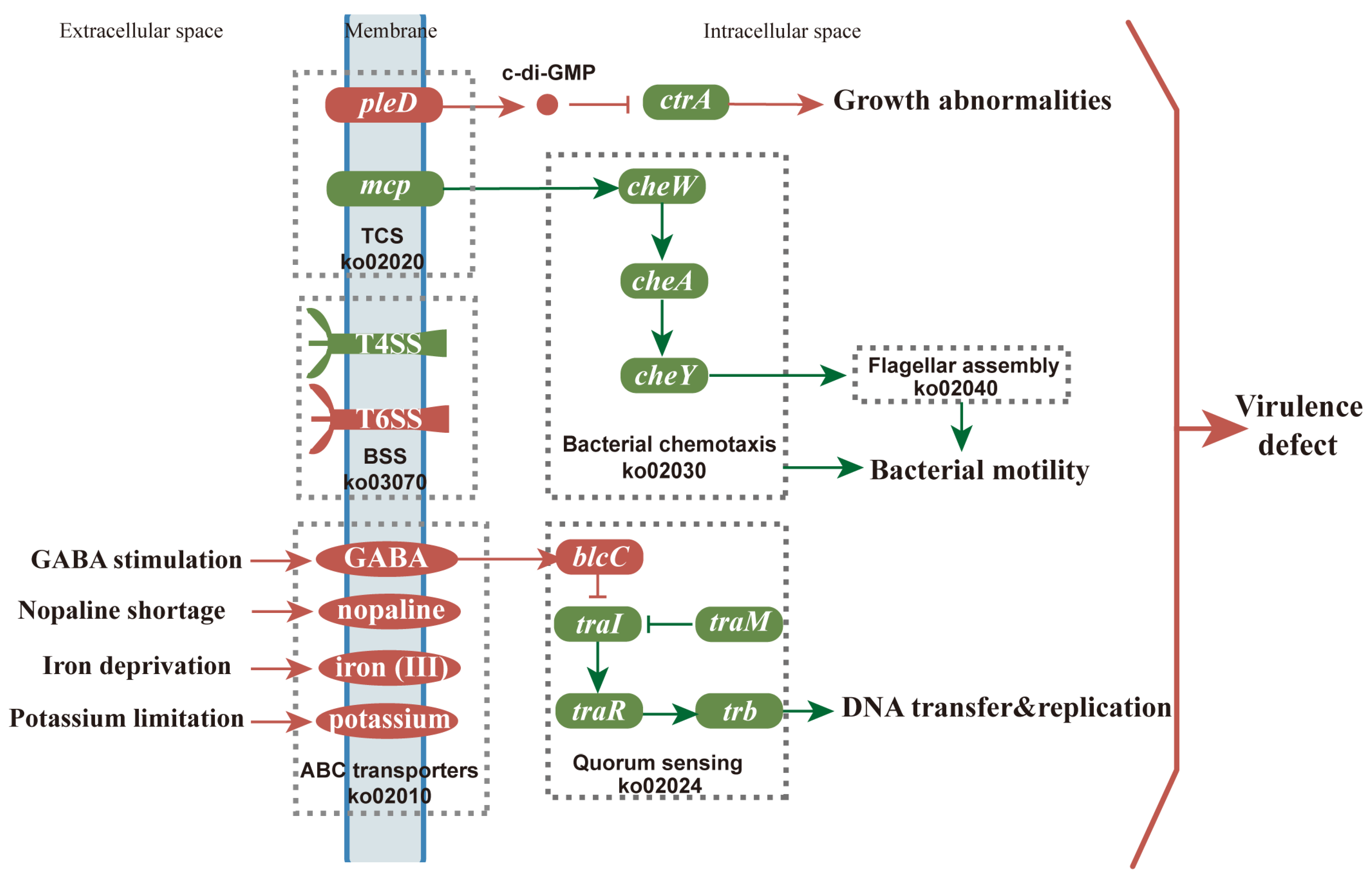 Biomolecules 12 00688 g006