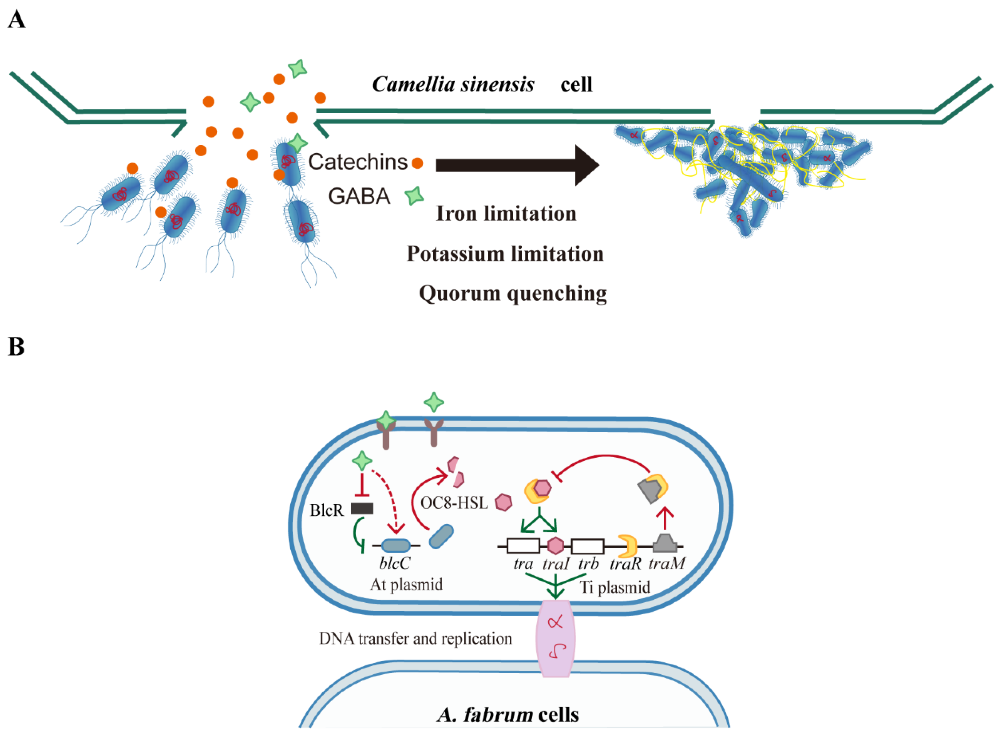 Biomolecules 12 00688 g007