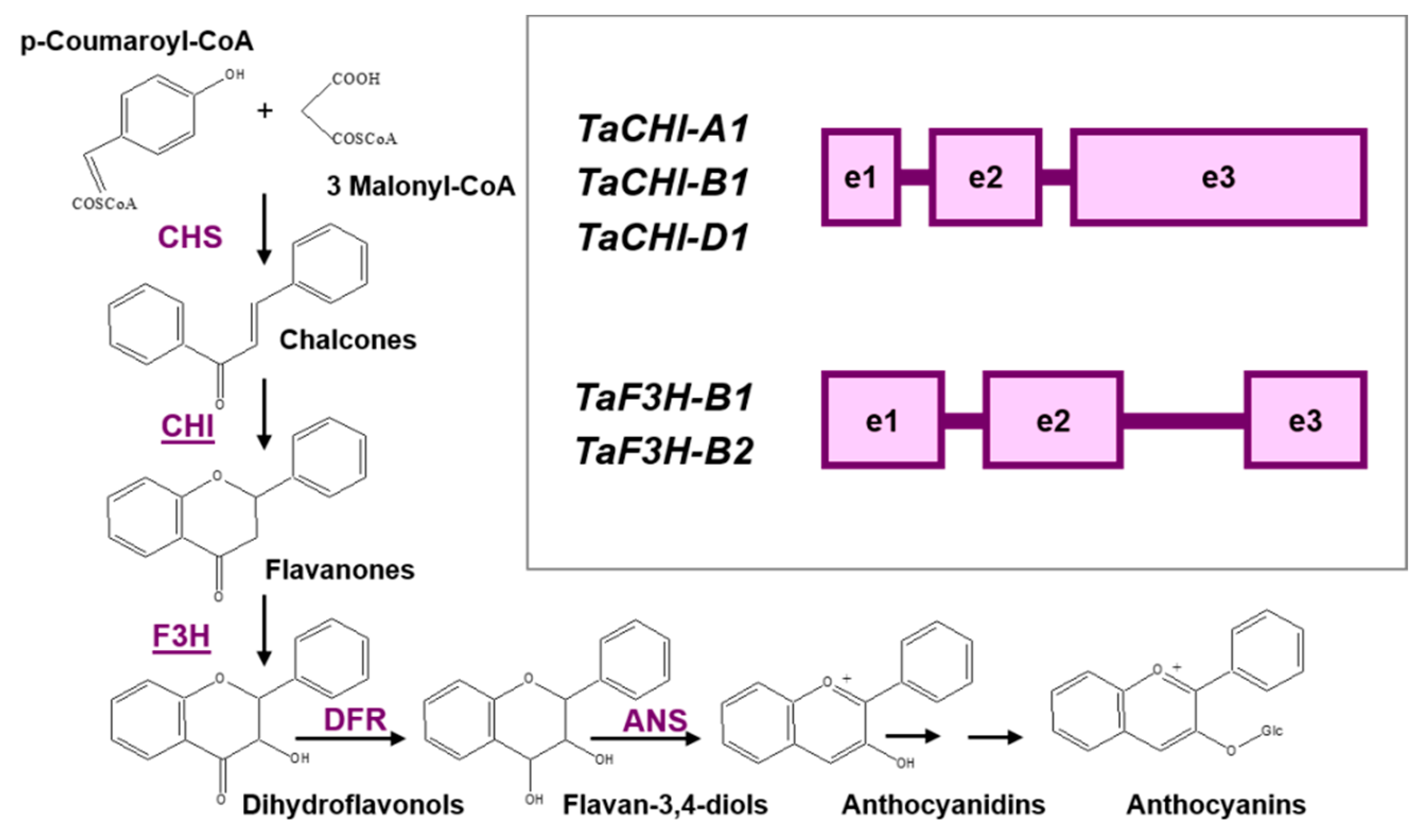Biomolecules 12 00689 g001