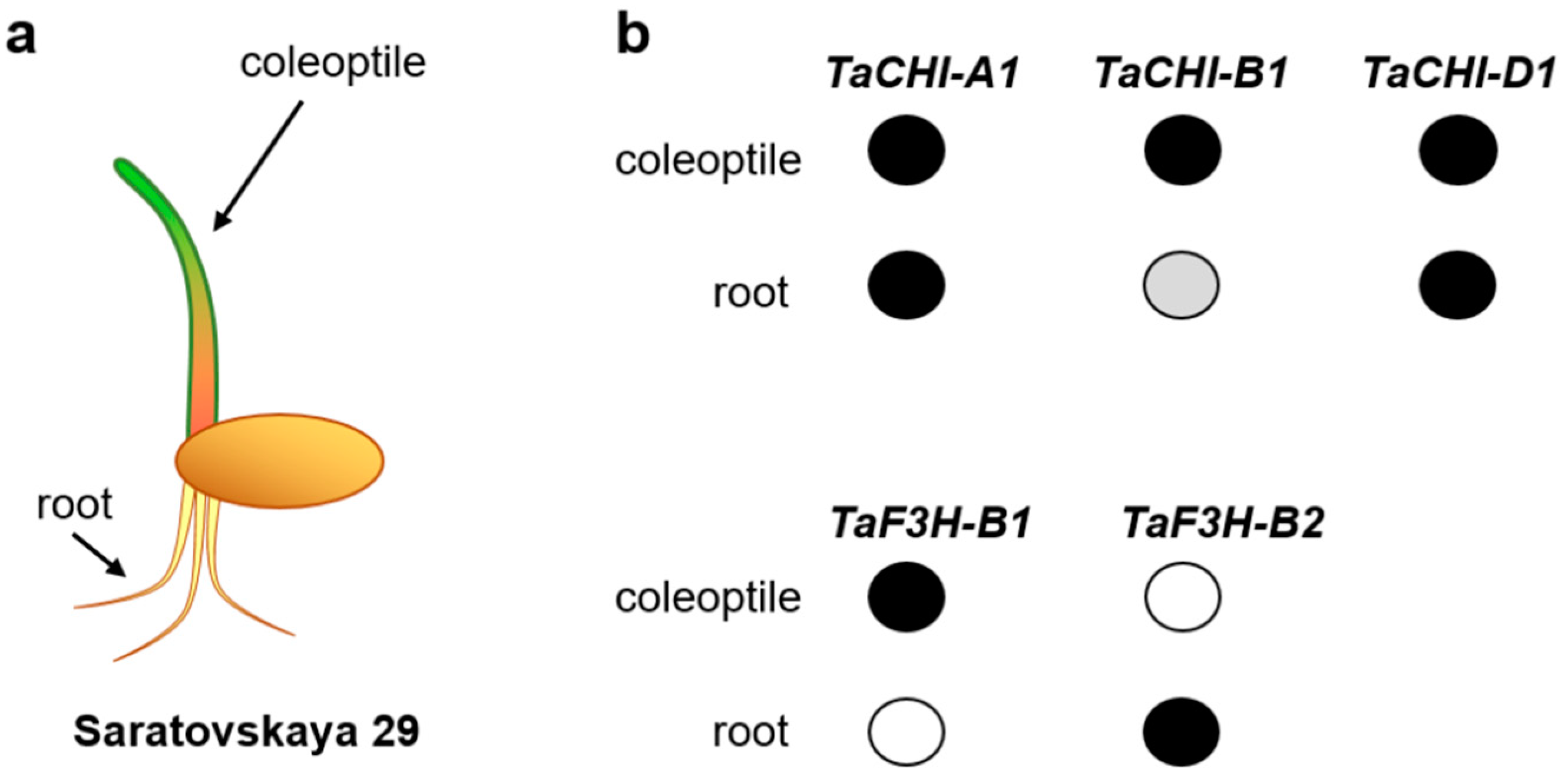 Biomolecules 12 00689 g002