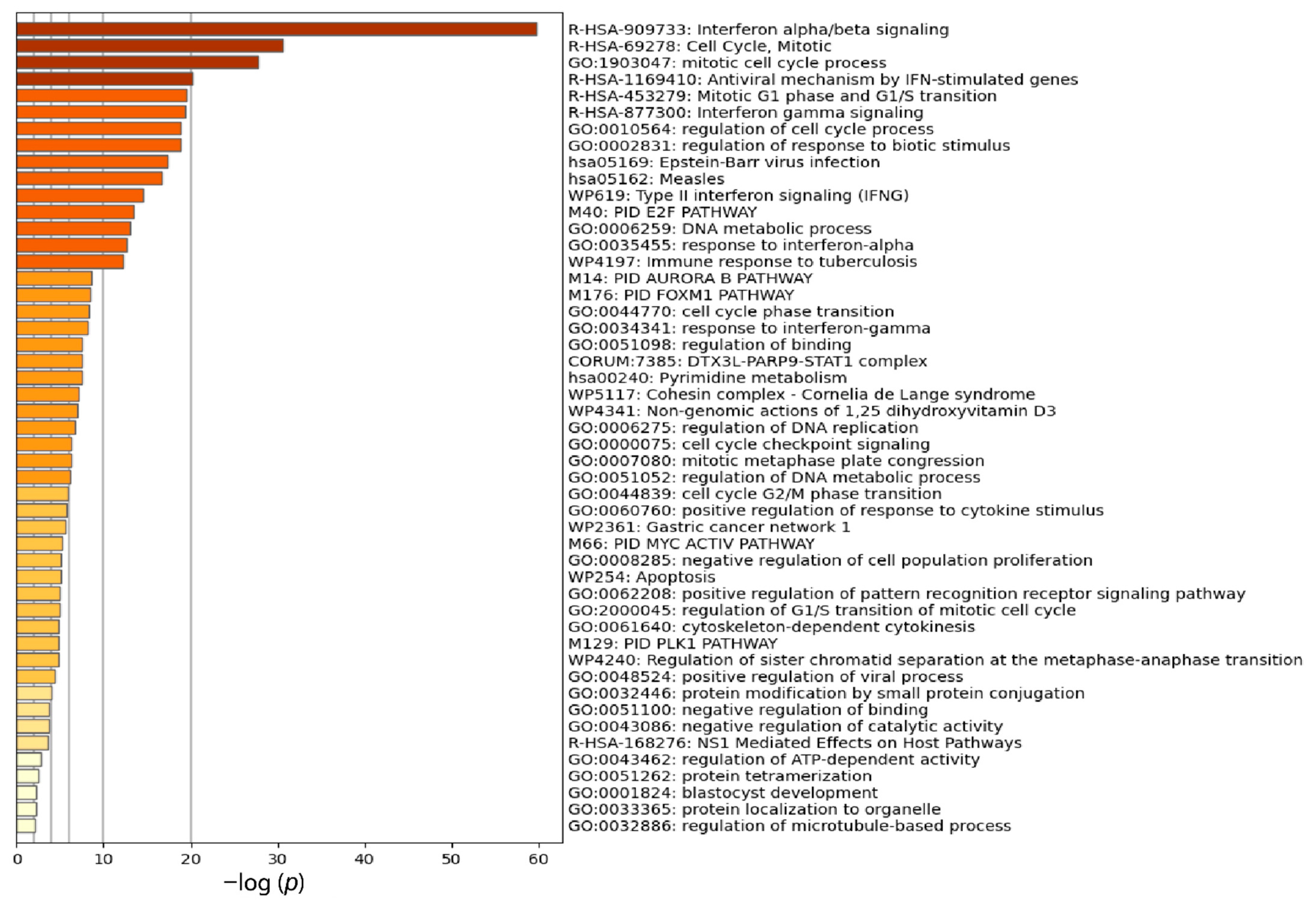 Biomolecules 12 00690 g004 Biomolecules 12 00690 g004