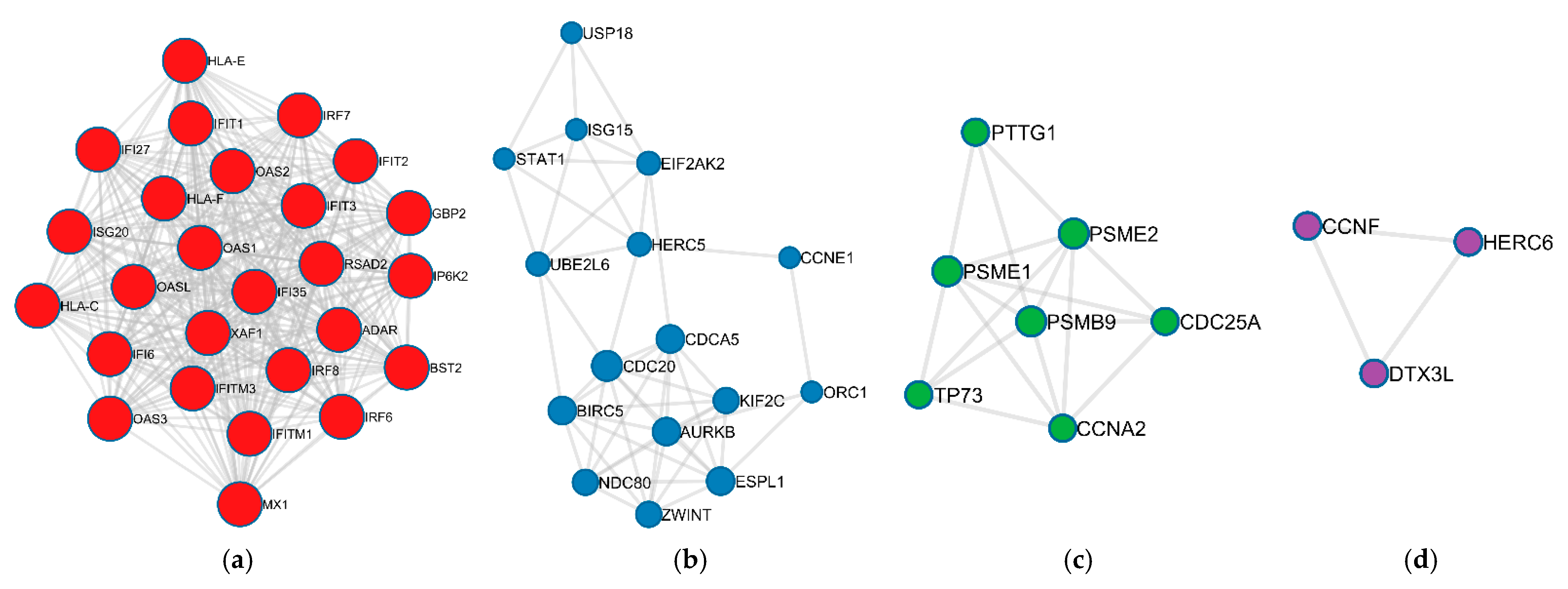 Biomolecules 12 00690 g005 Biomolecules 12 00690 g005