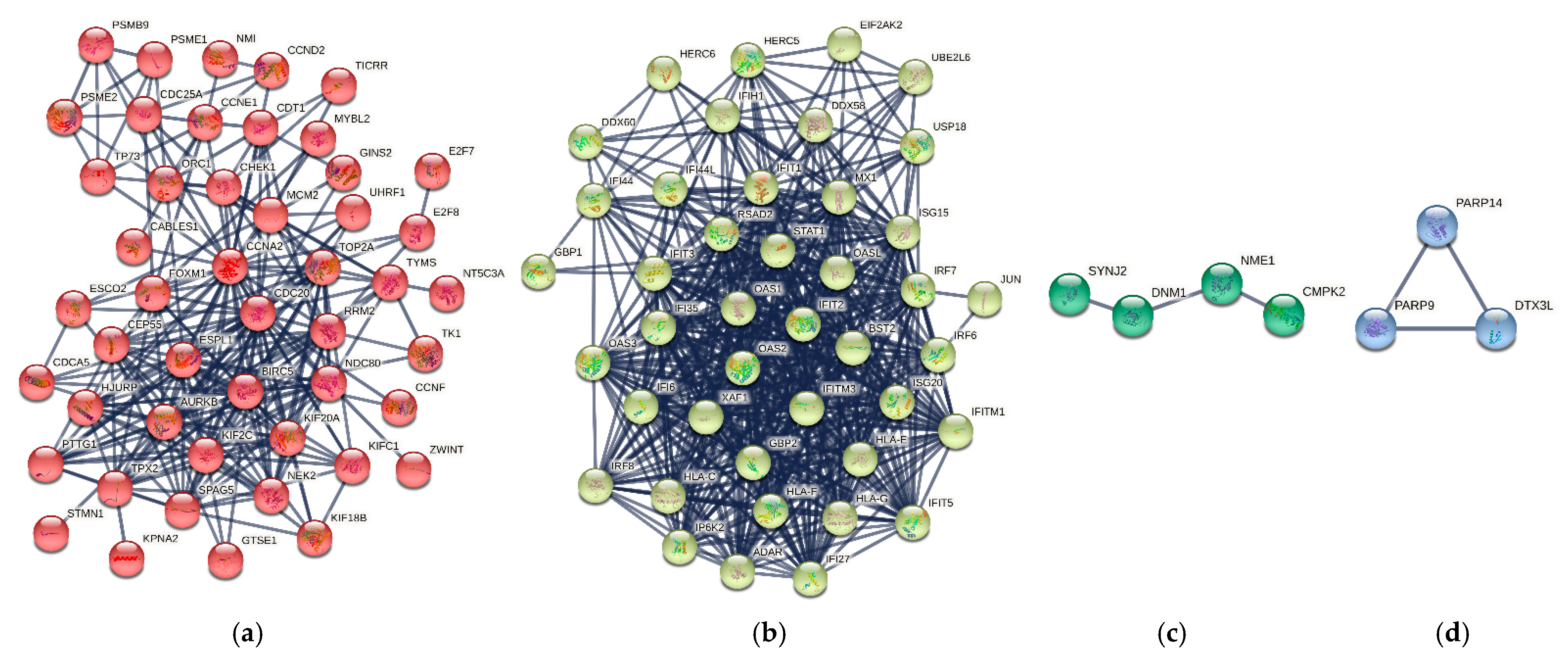 Biomolecules 12 00690 g006 Biomolecules 12 00690 g006