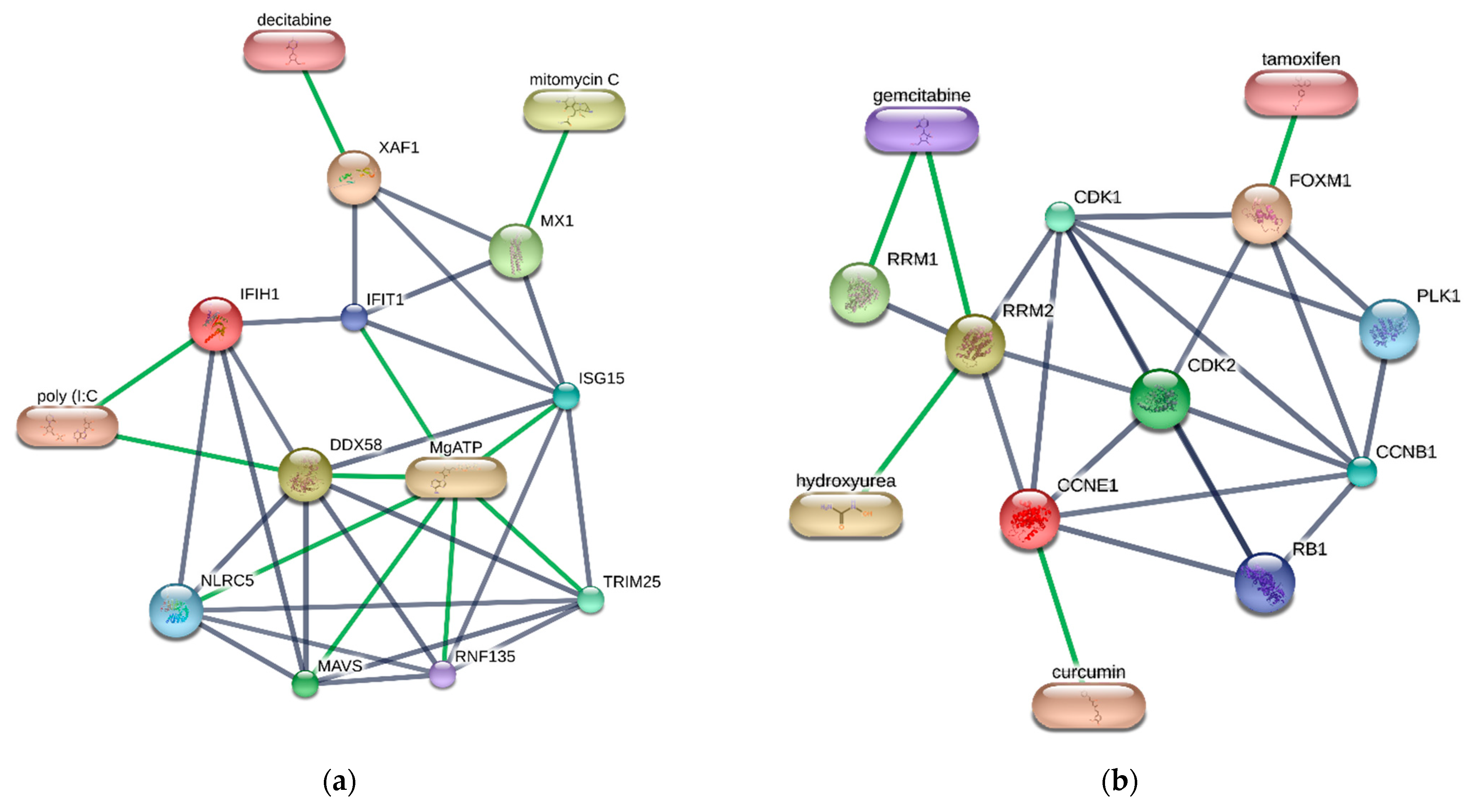 Biomolecules 12 00690 g009 Biomolecules 12 00690 g009