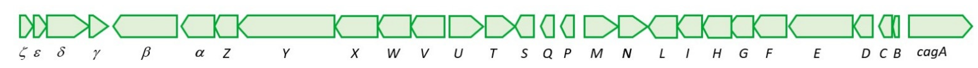 Biomolecules 12 00691 g001