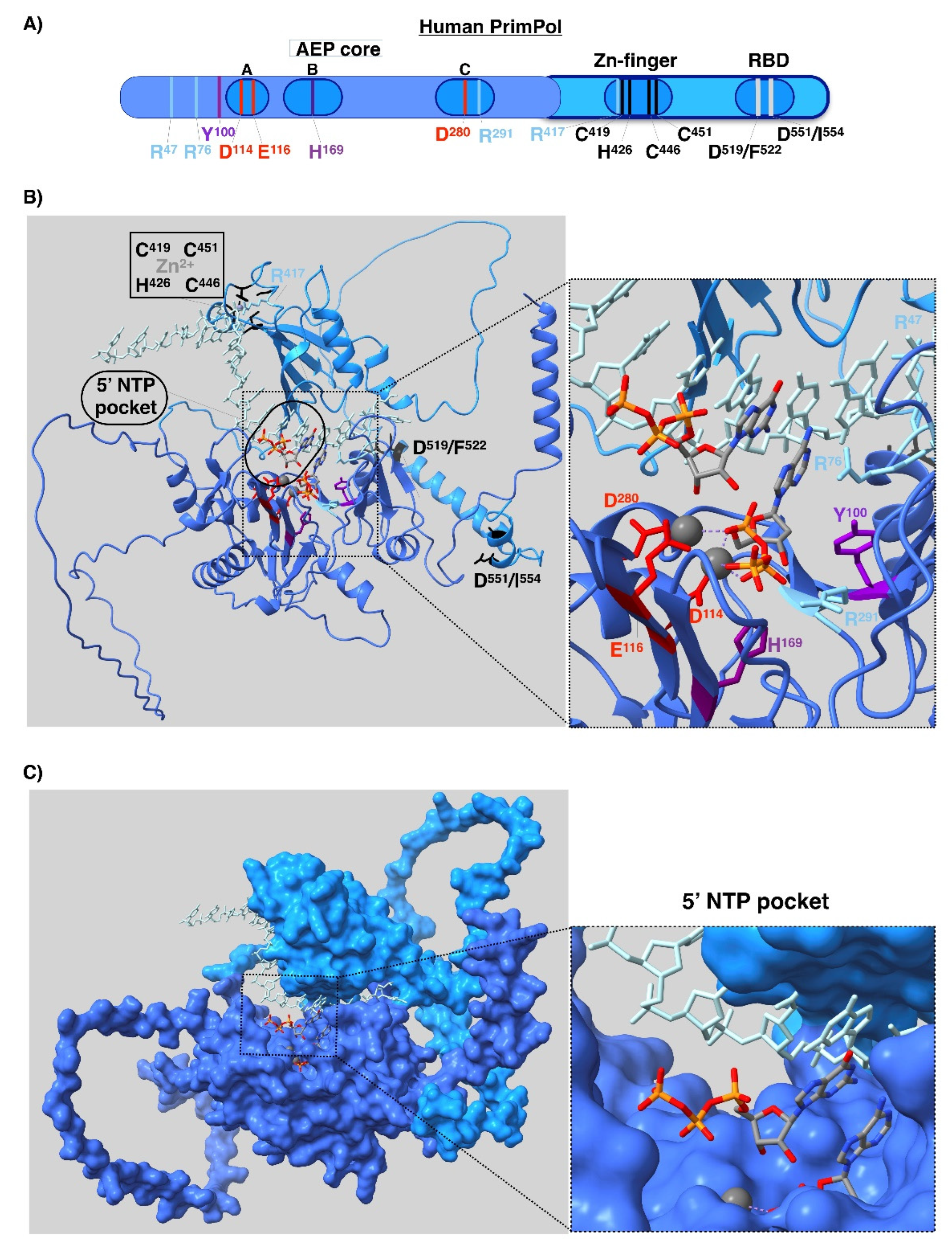 Biomolecules 12 00693 g002