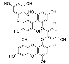 Biomolecules 12 00694 i037