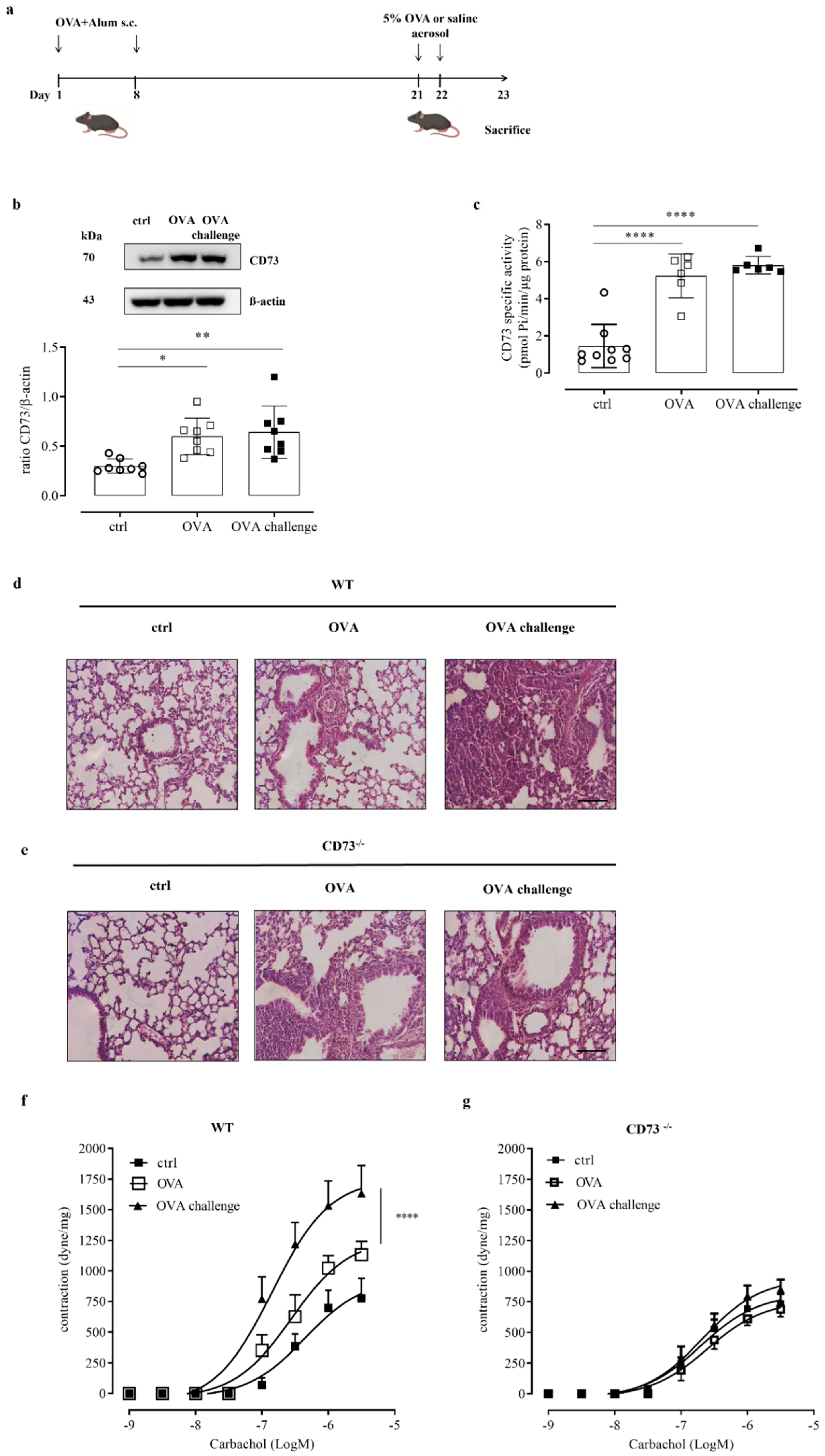 Biomolecules 12 00697 g001