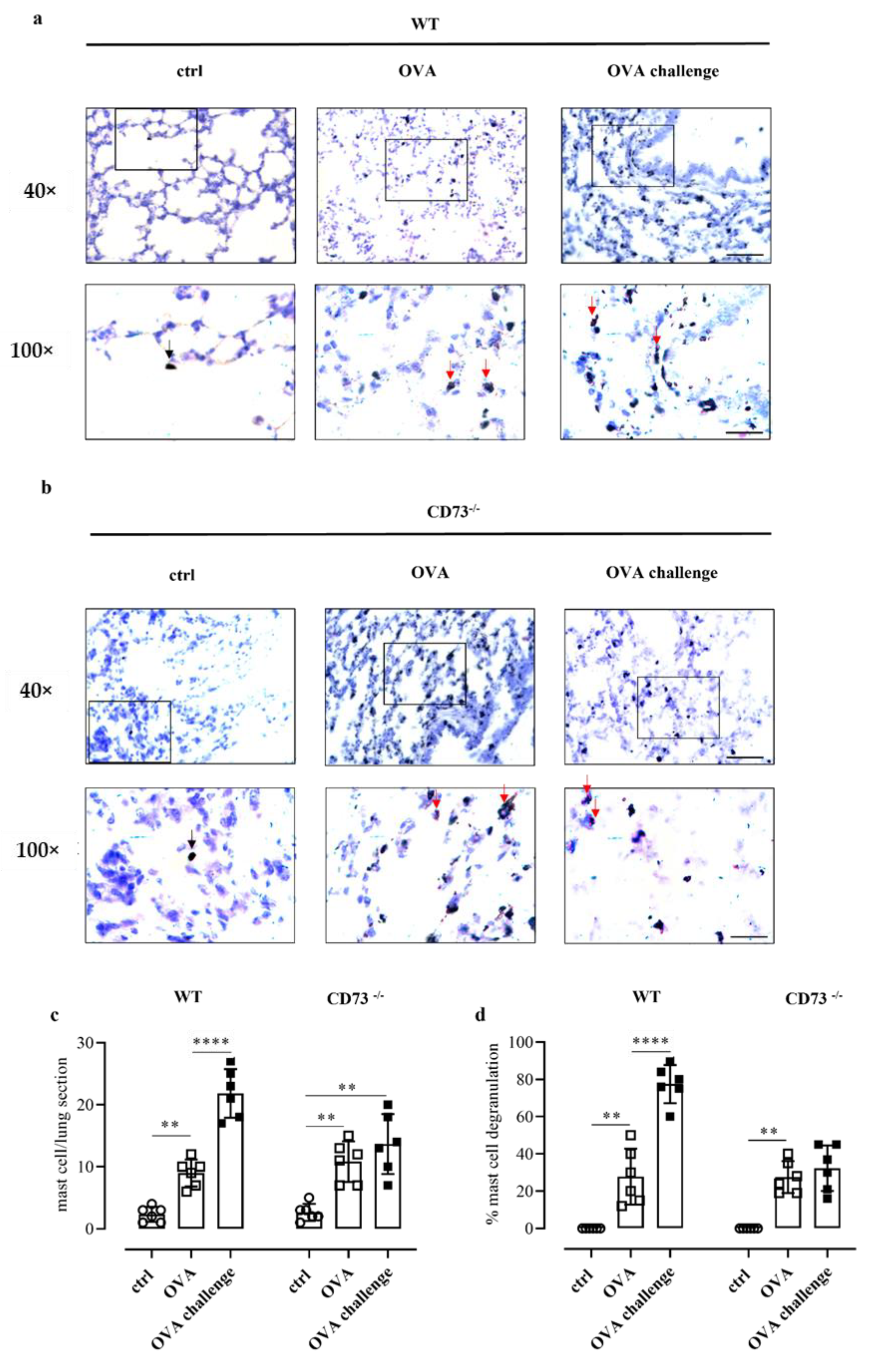 Biomolecules 12 00697 g003