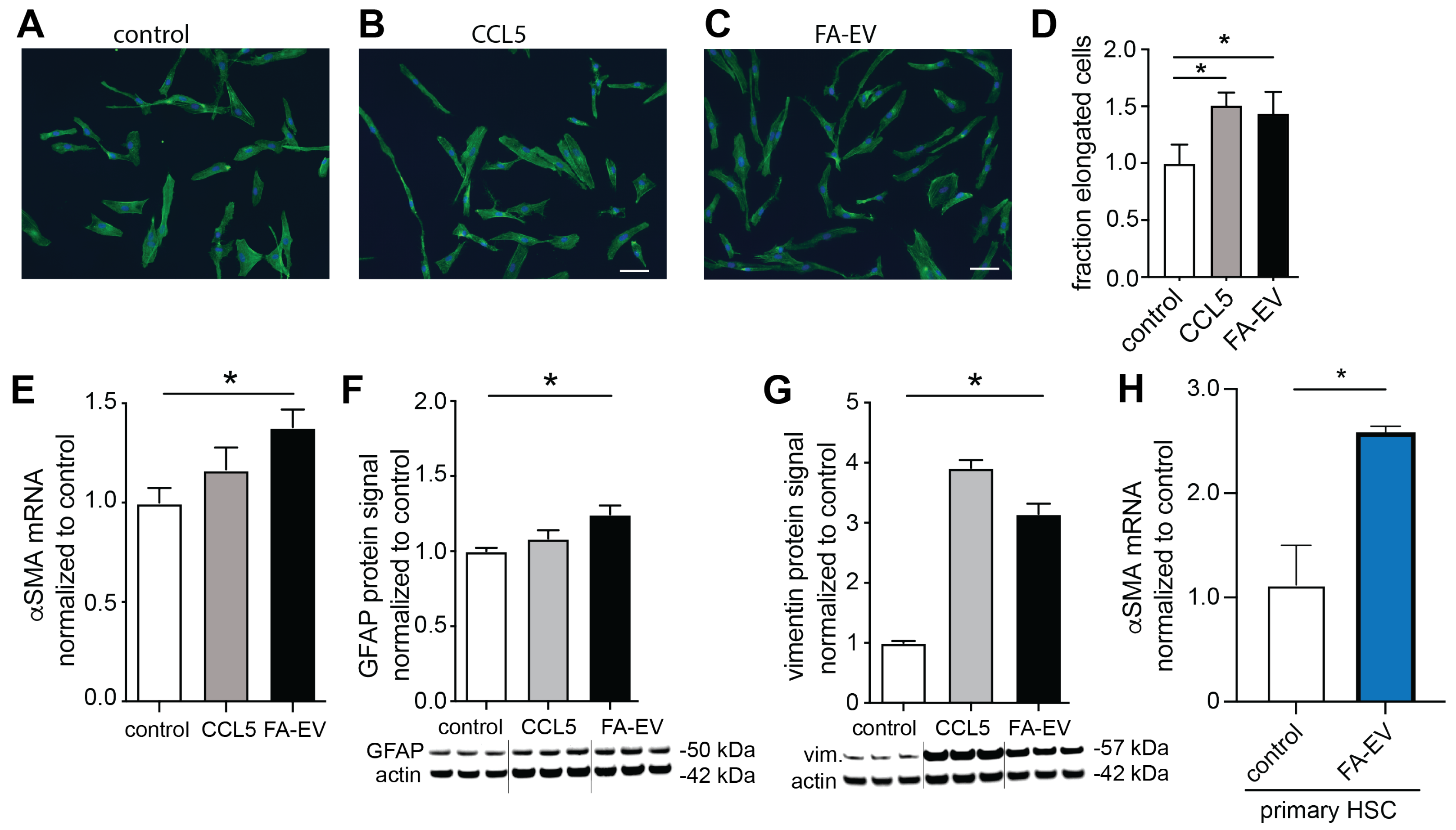 Biomolecules 12 00698 g004