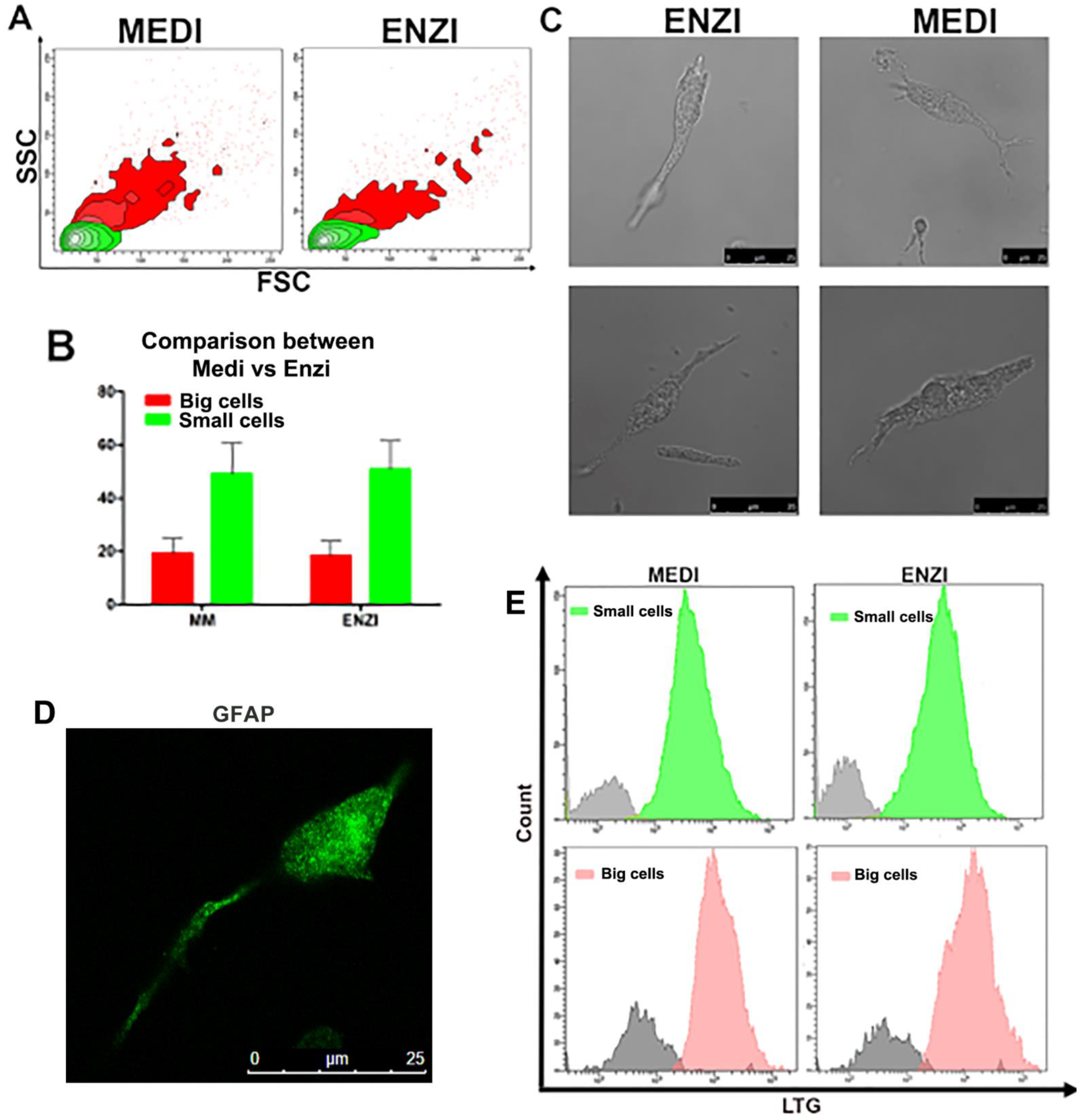 Biomolecules 12 00701 g013 Biomolecules 12 00701 g013