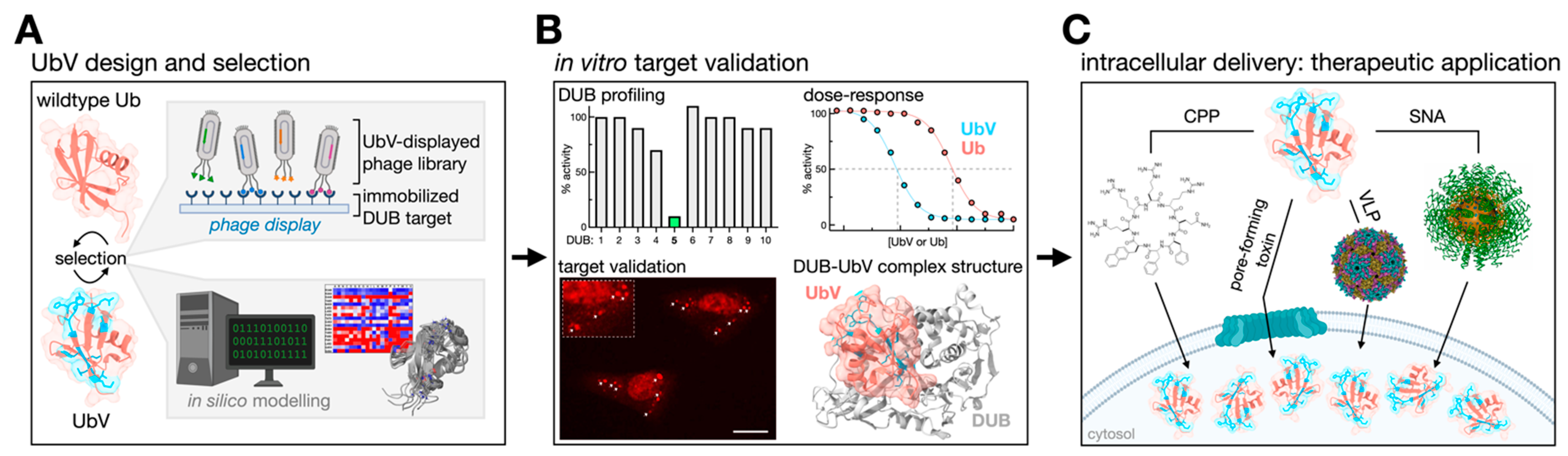 Biomolecules 12 00703 g002 Biomolecules 12 00703 g002