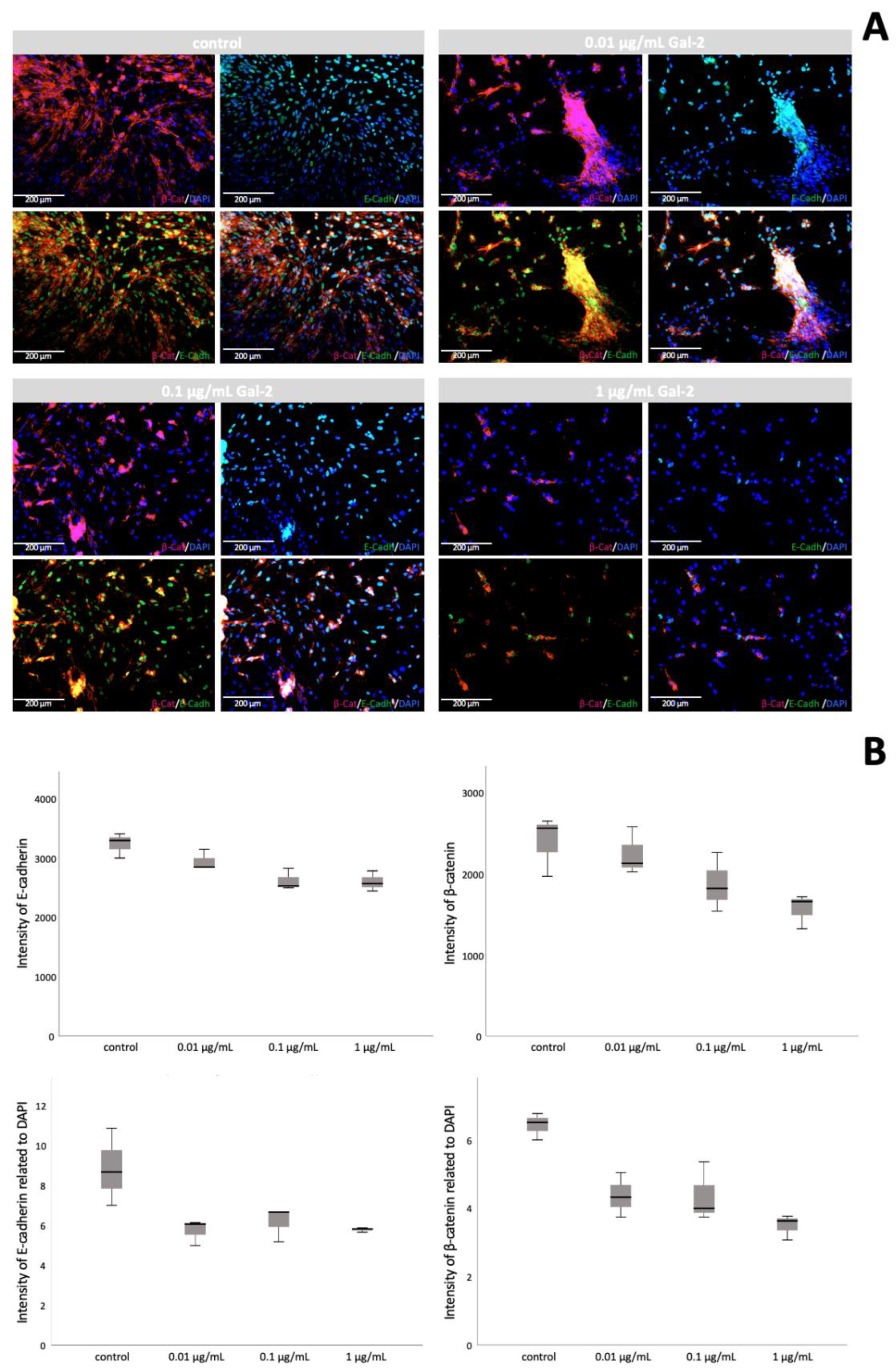Biomolecules 12 00707 g003 Biomolecules 12 00707 g003