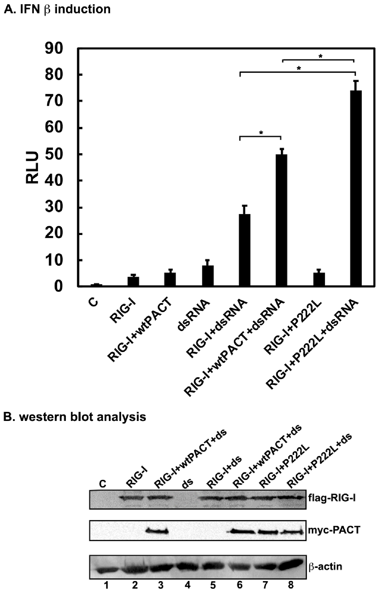 Biomolecules 12 00713 g002 Biomolecules 12 00713 g002