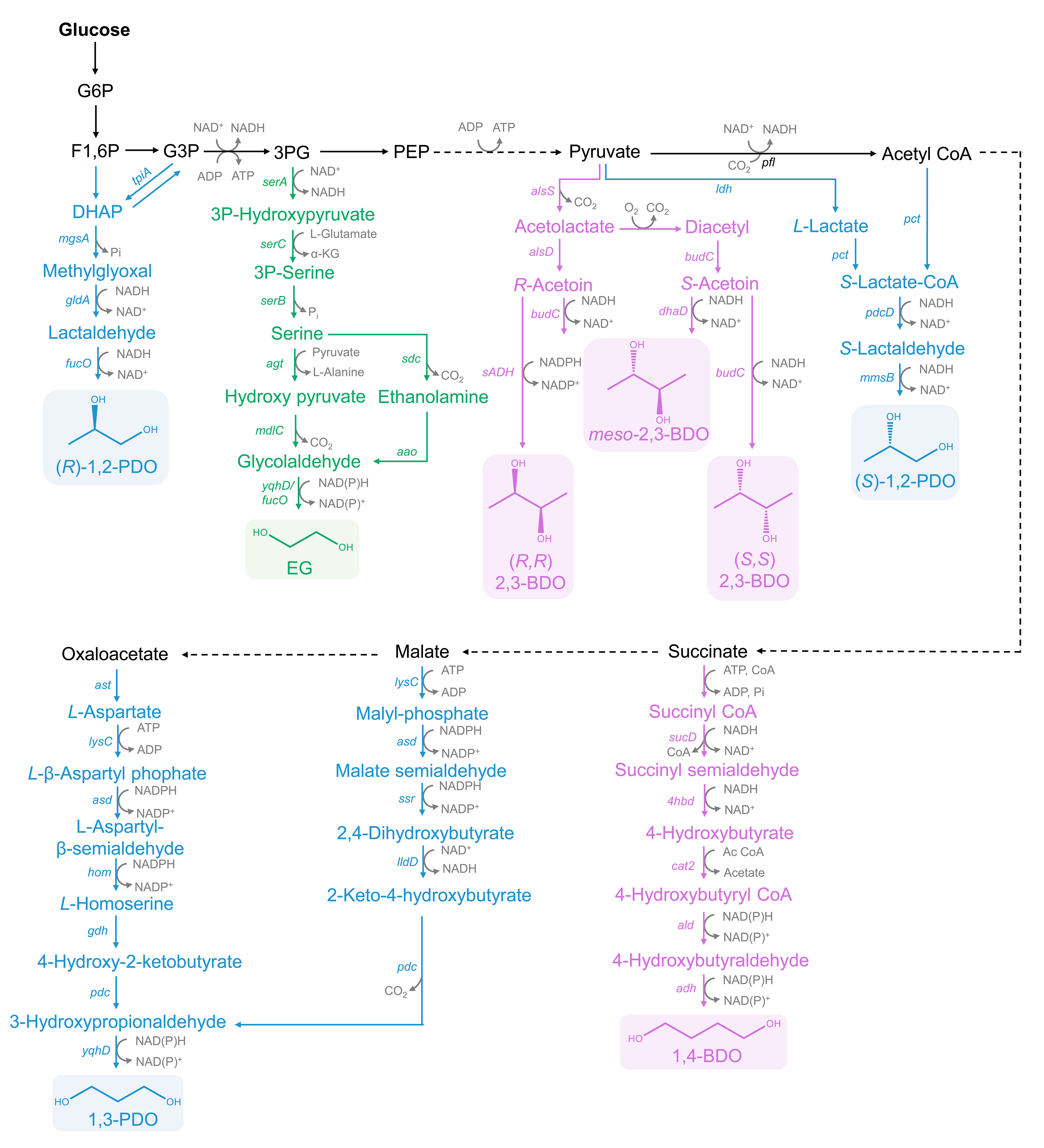 Biomolecules 12 00715 g001