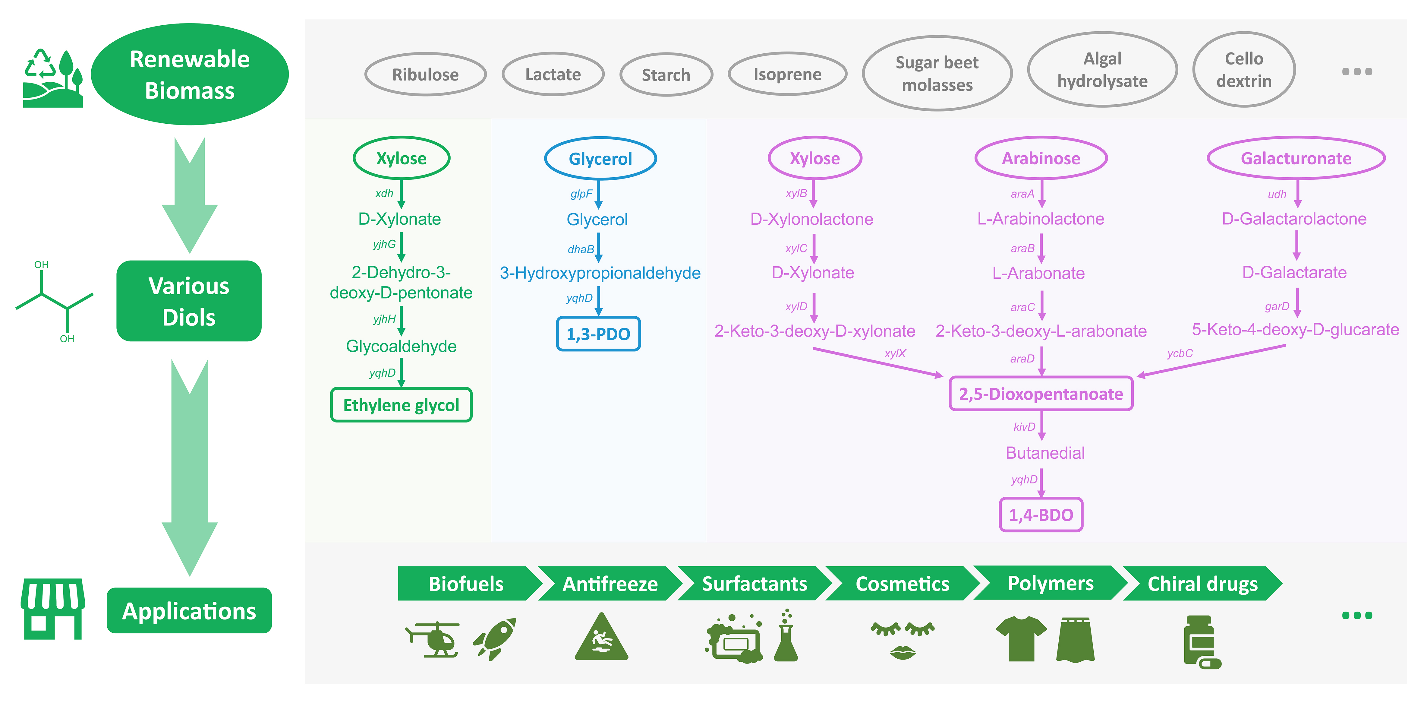 Biomolecules 12 00715 g002