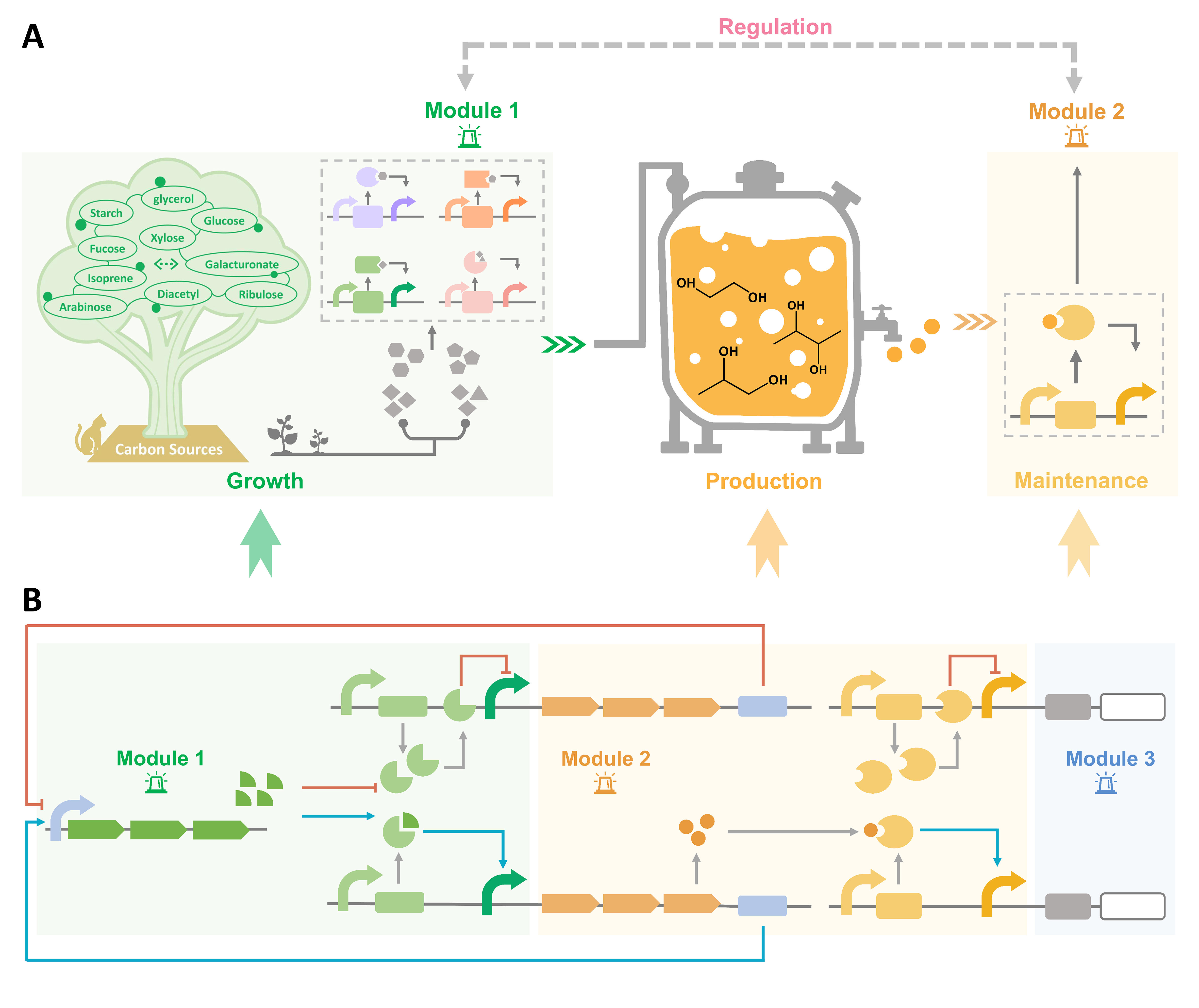 Biomolecules 12 00715 g003