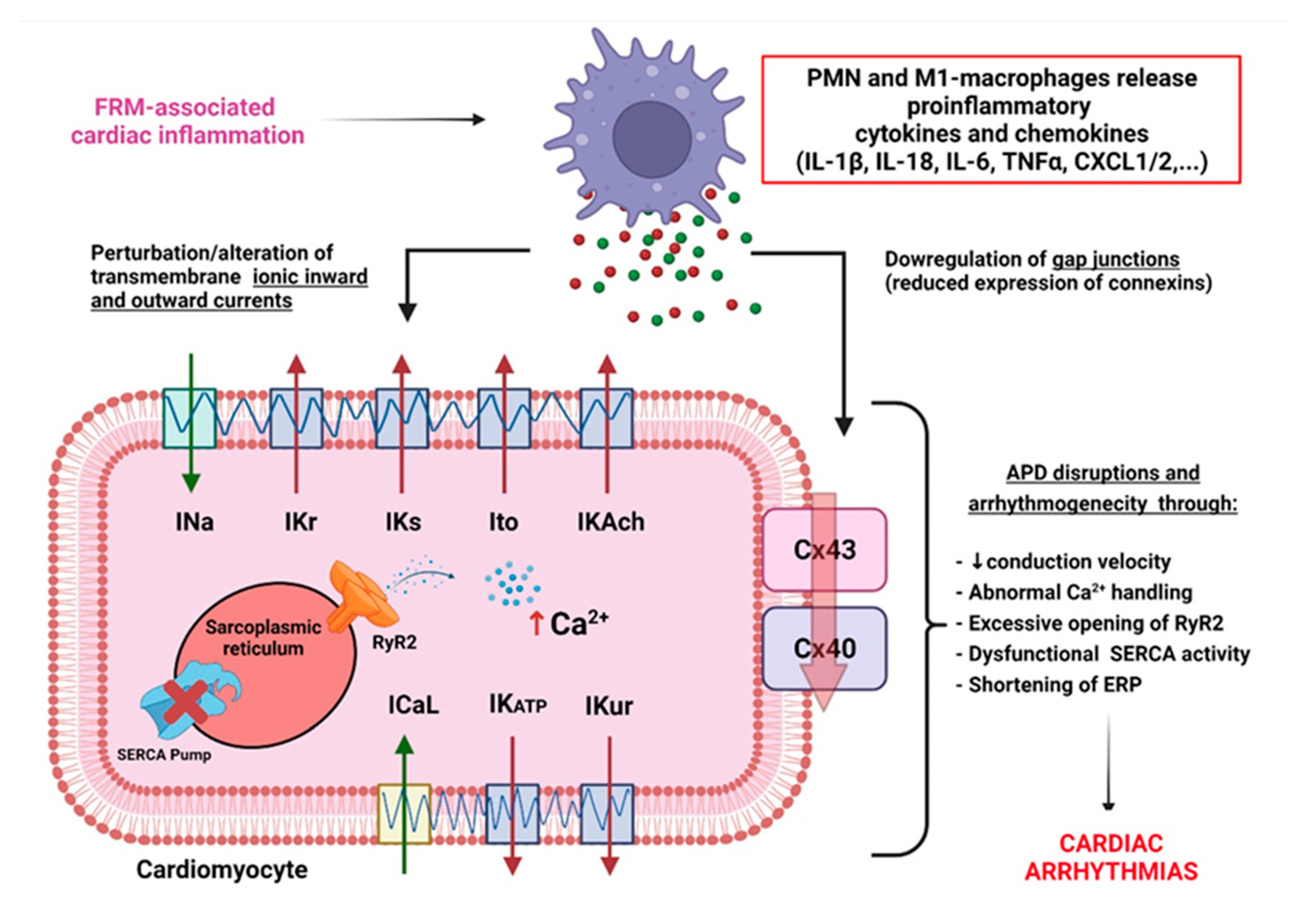 Biomolecules 12 00720 g005 550