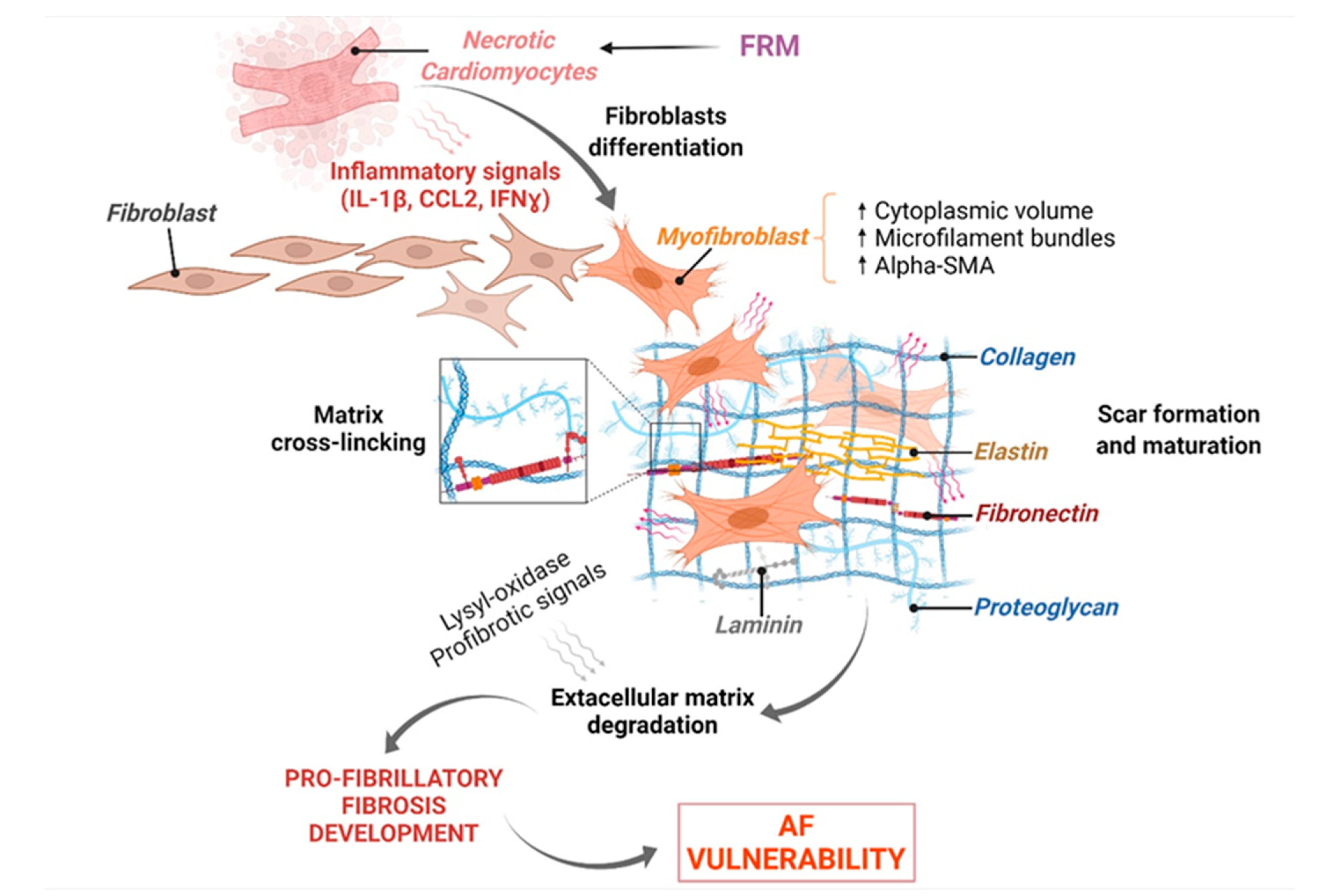 Biomolecules 12 00720 g006 550