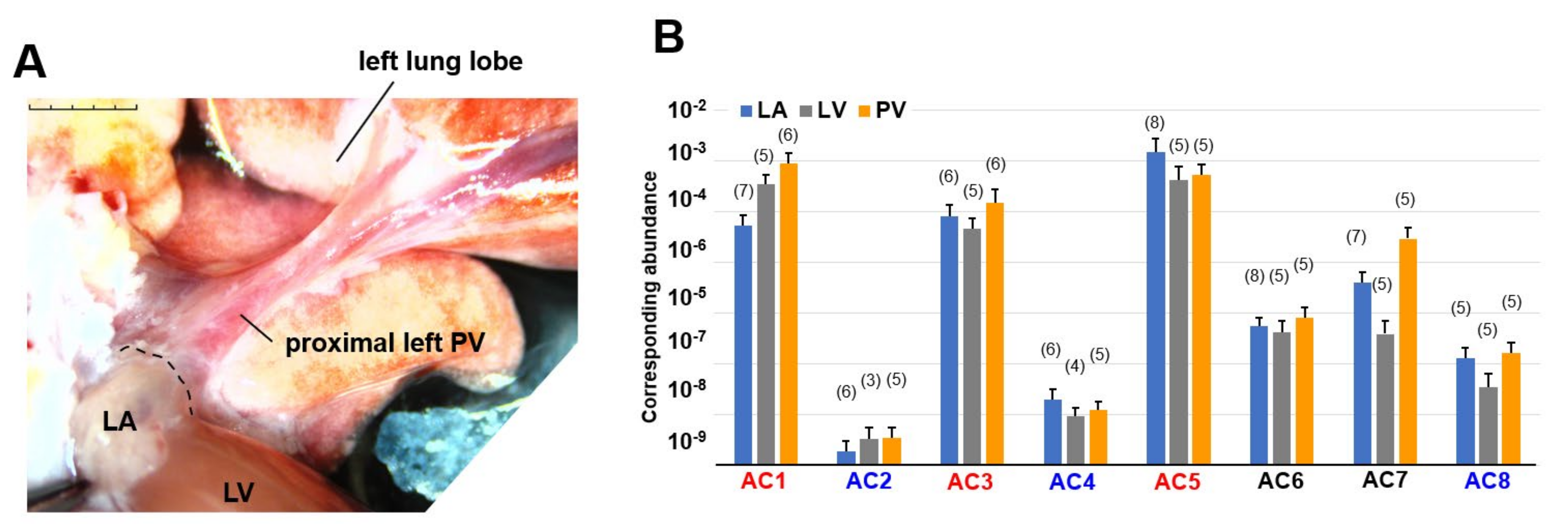 Biomolecules 12 00724 g001