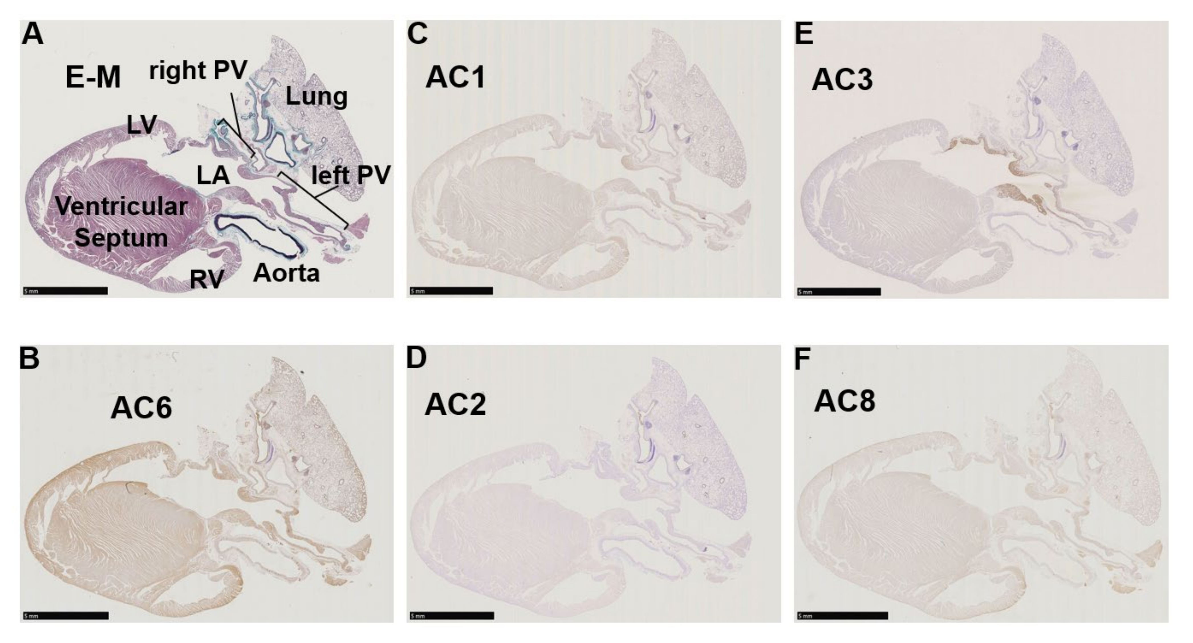Biomolecules 12 00724 g002