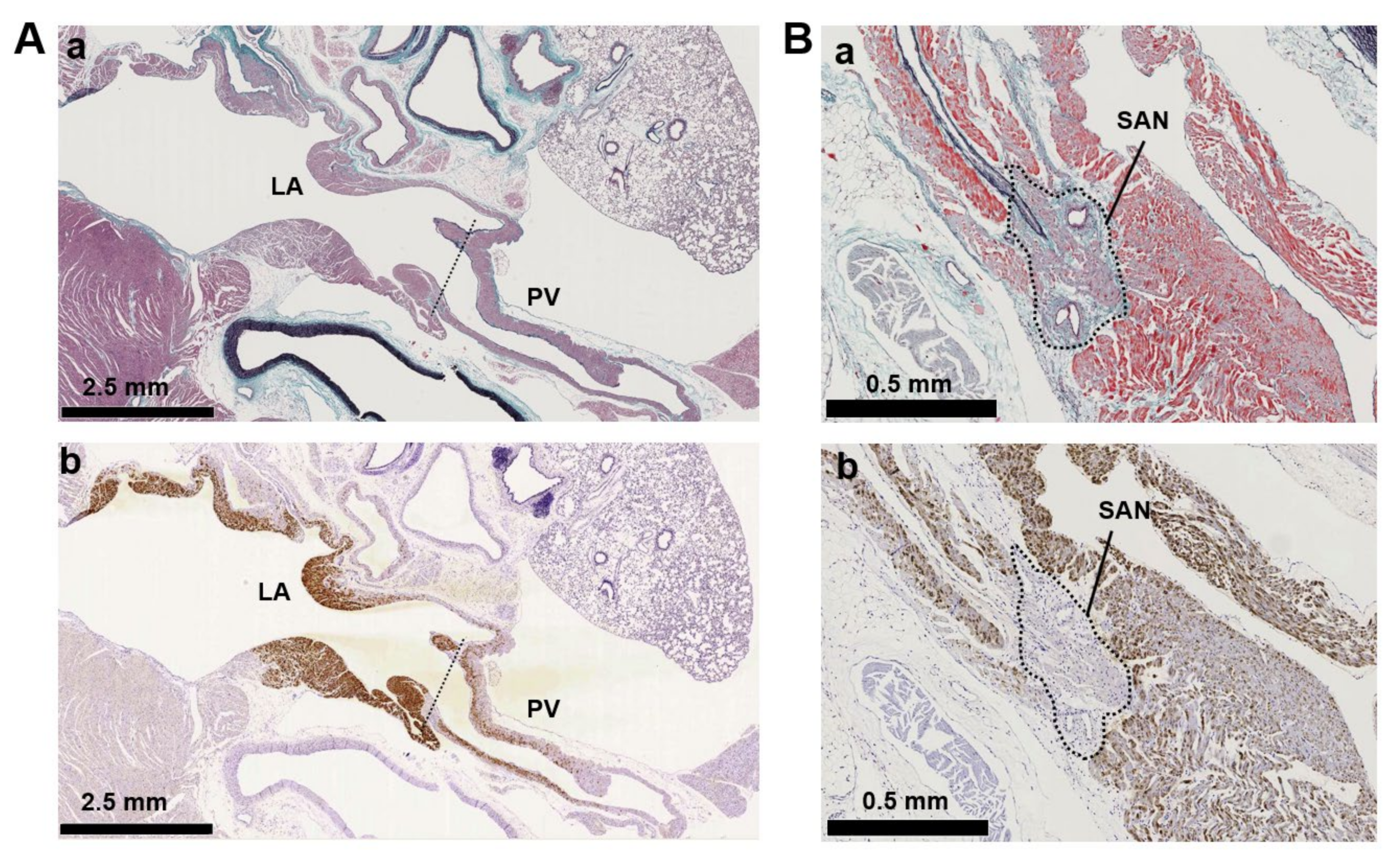 Biomolecules 12 00724 g004