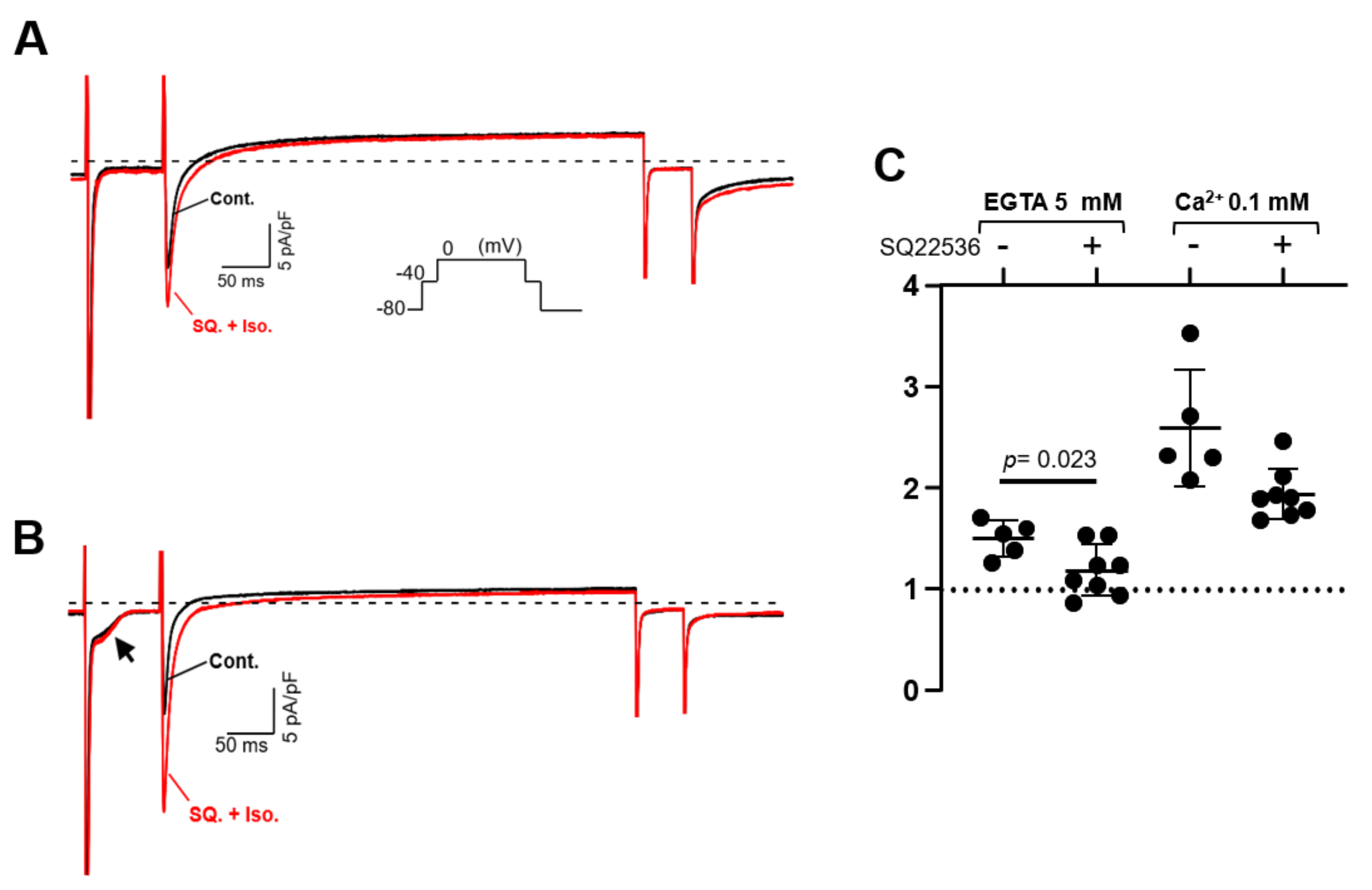Biomolecules 12 00724 g007