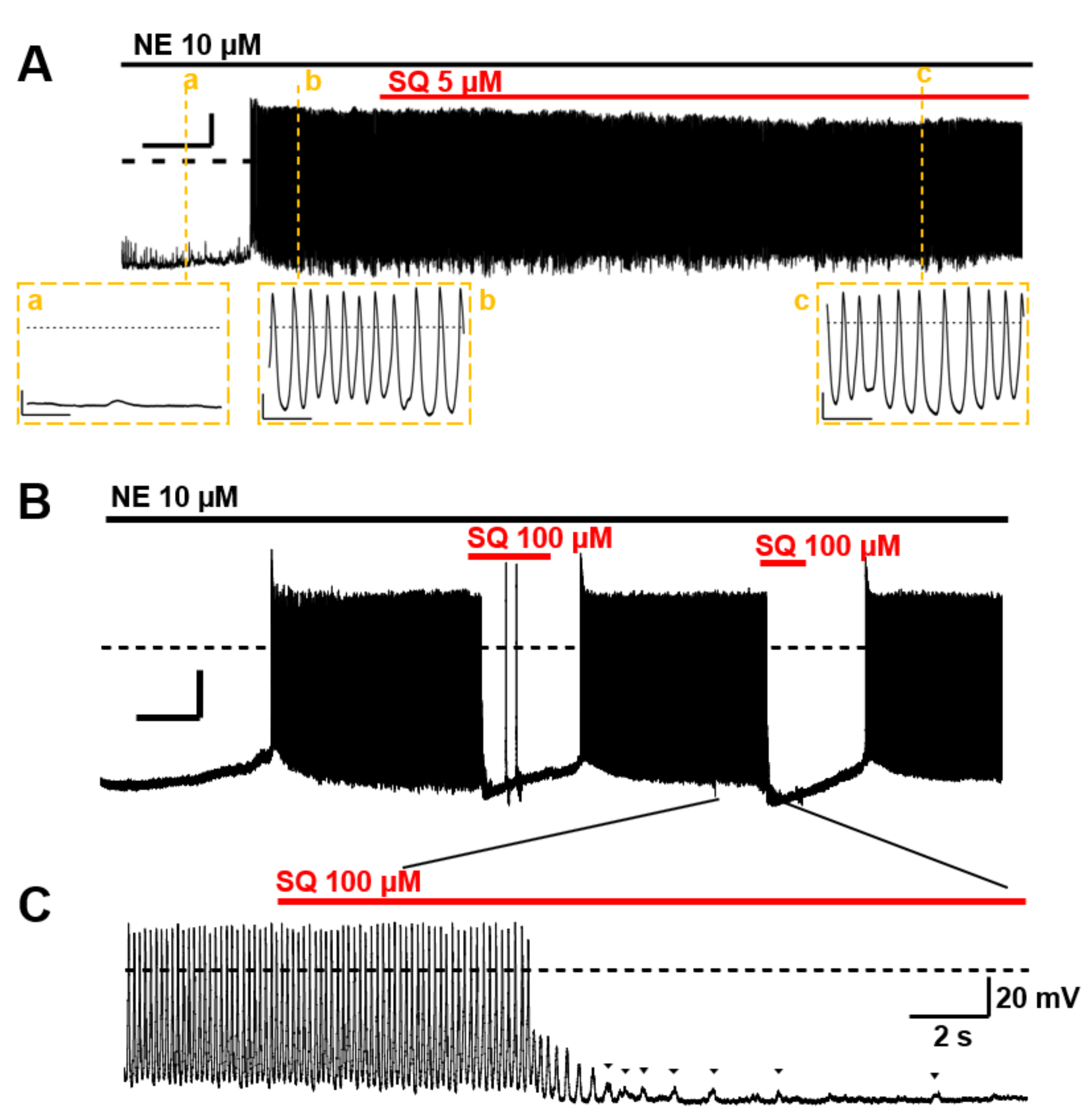 Biomolecules 12 00724 g008