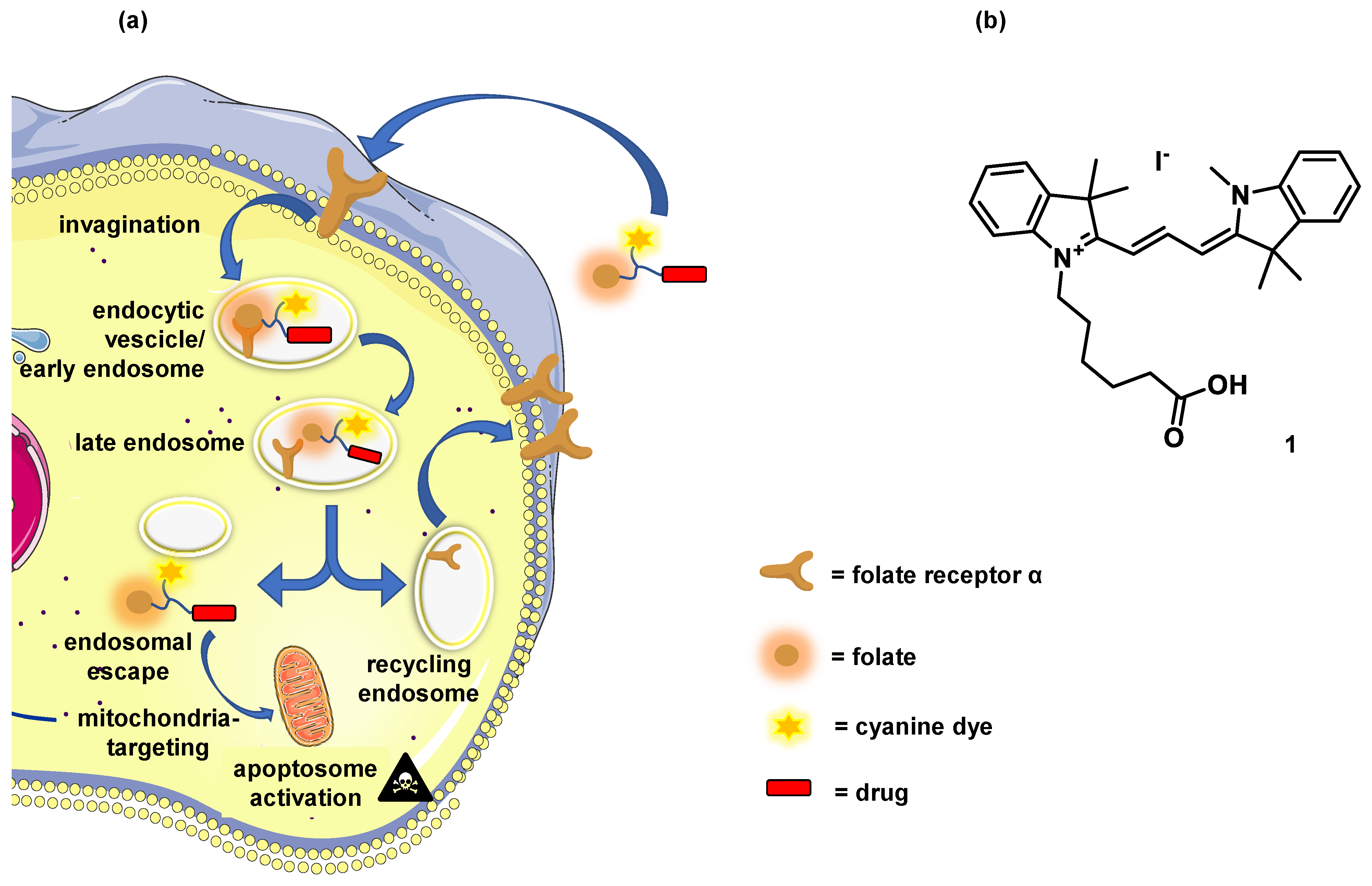 Biomolecules 12 00725 g001