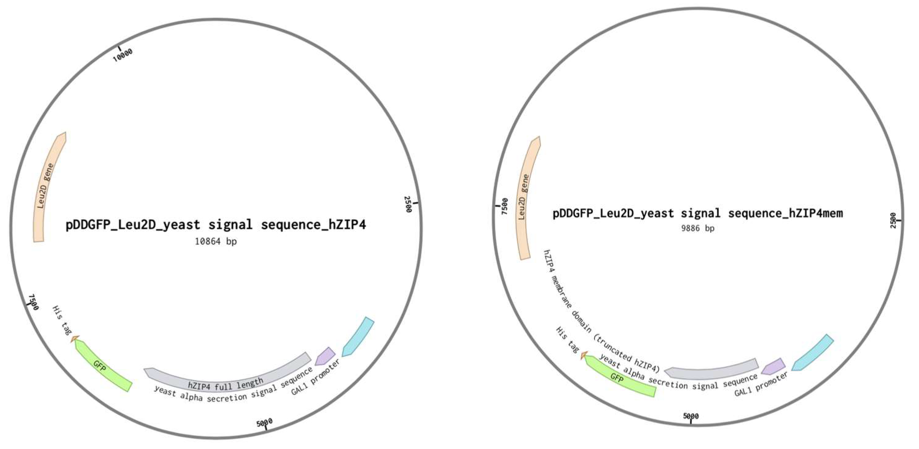 Biomolecules 12 00726 g002b