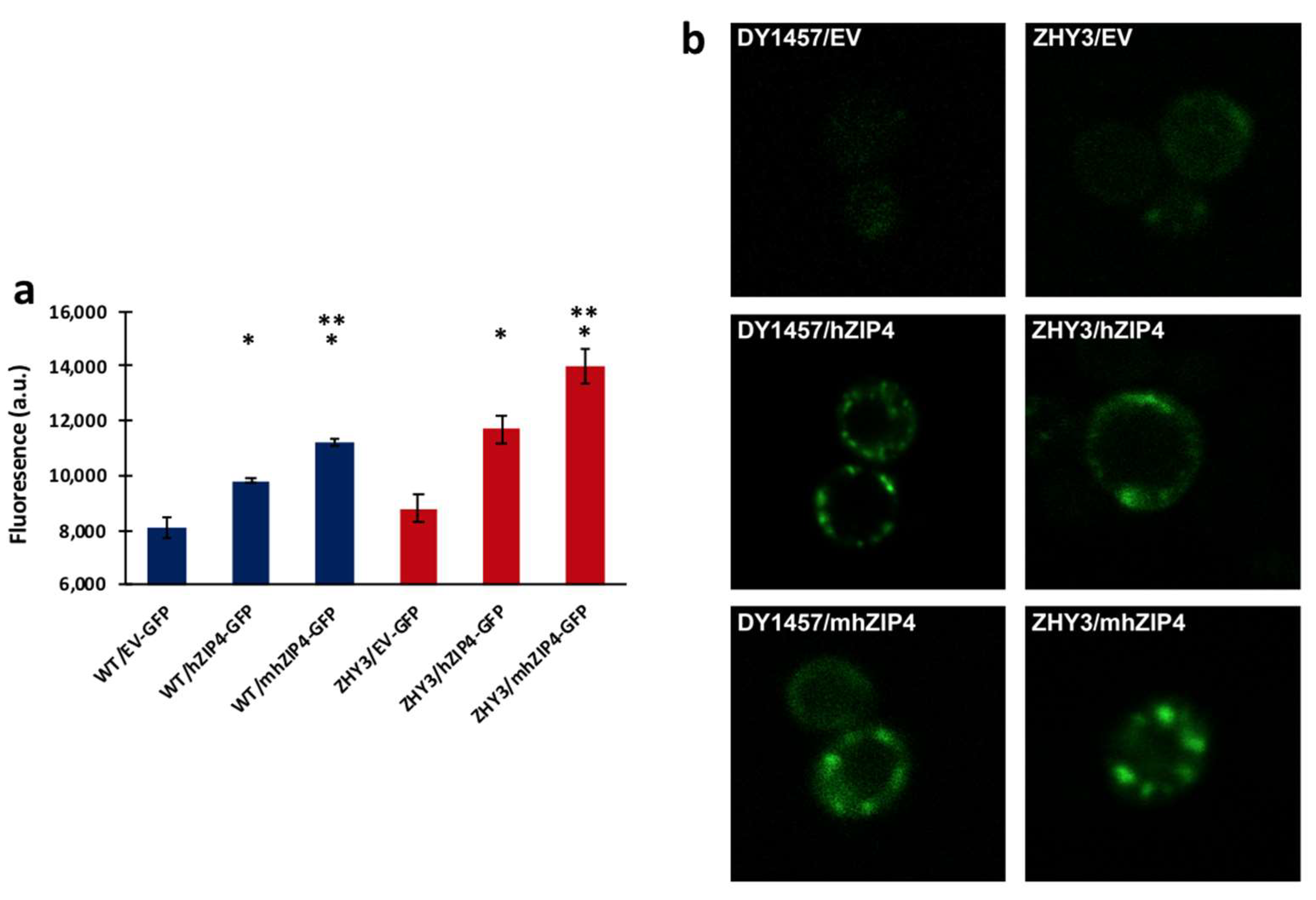 Biomolecules 12 00726 g003