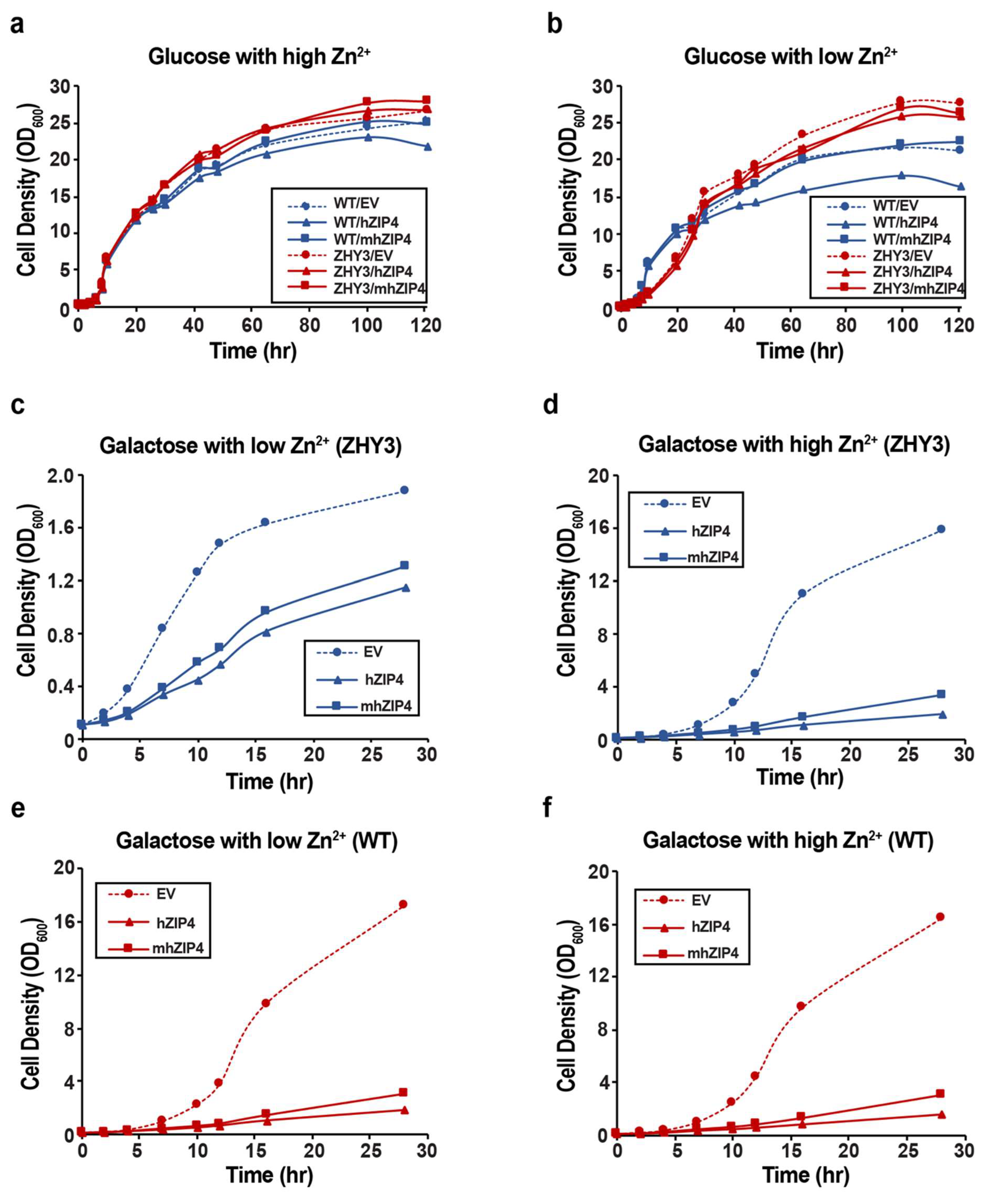 Biomolecules 12 00726 g004