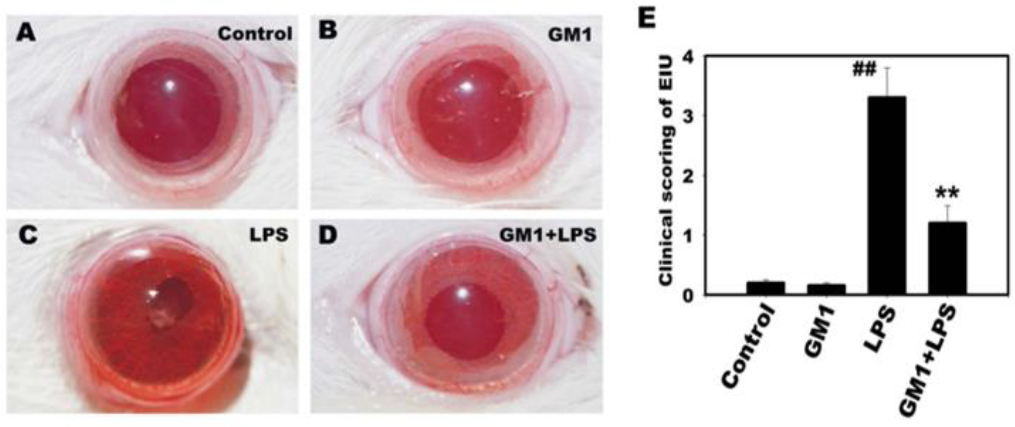 Biomolecules 12 00727 g001 550
