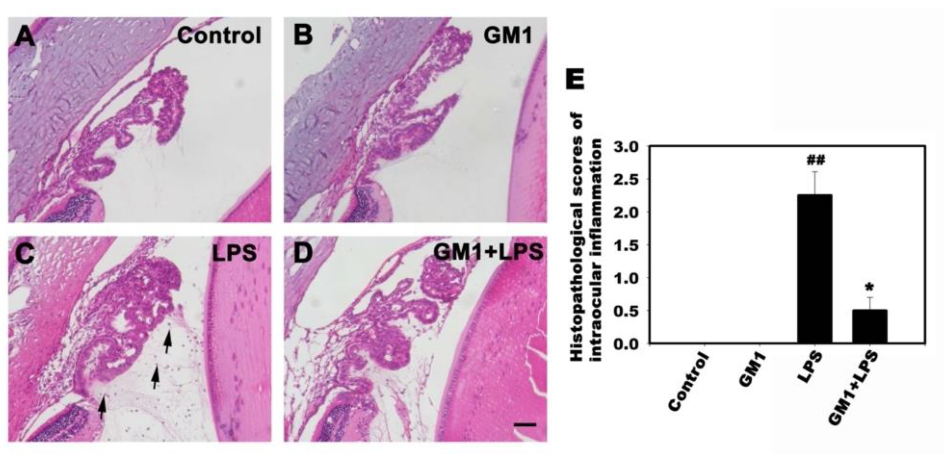Biomolecules 12 00727 g003 550