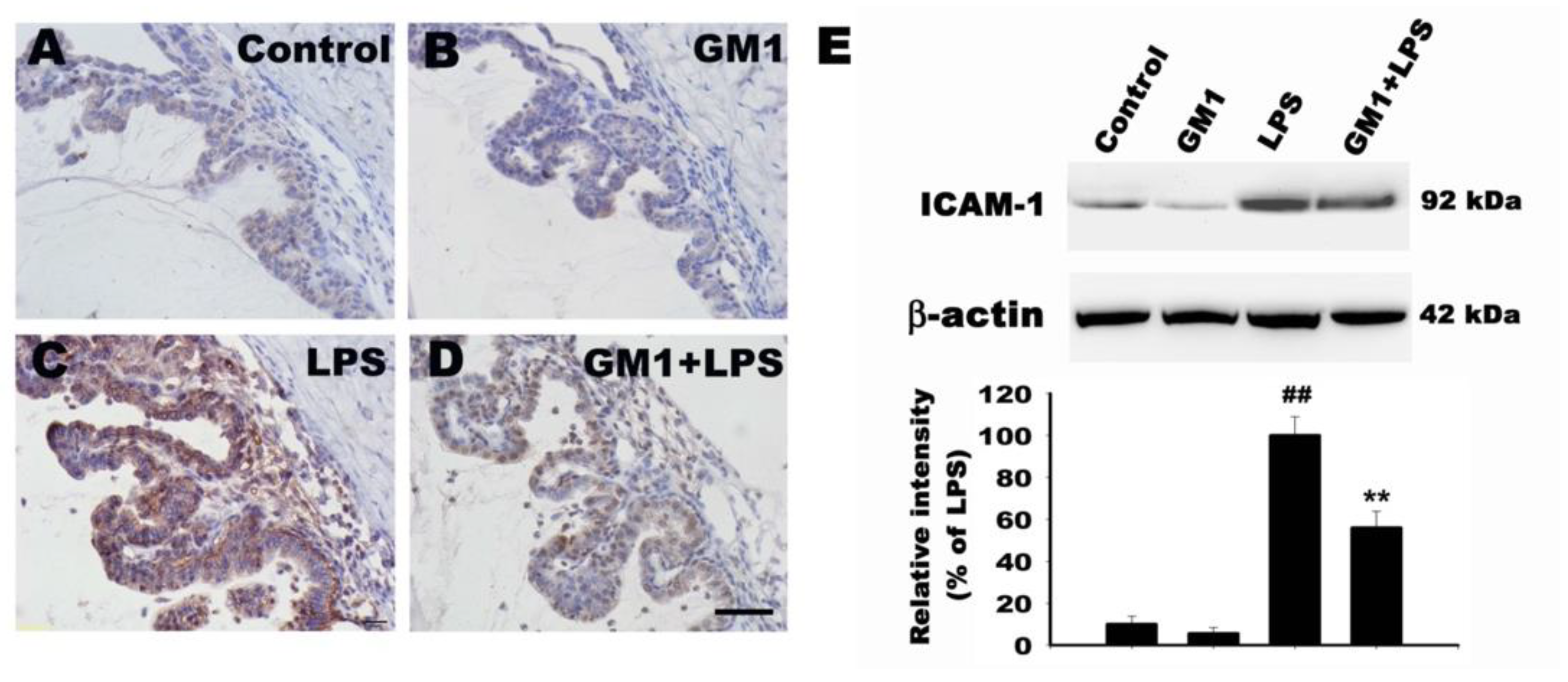 Biomolecules 12 00727 g005 550