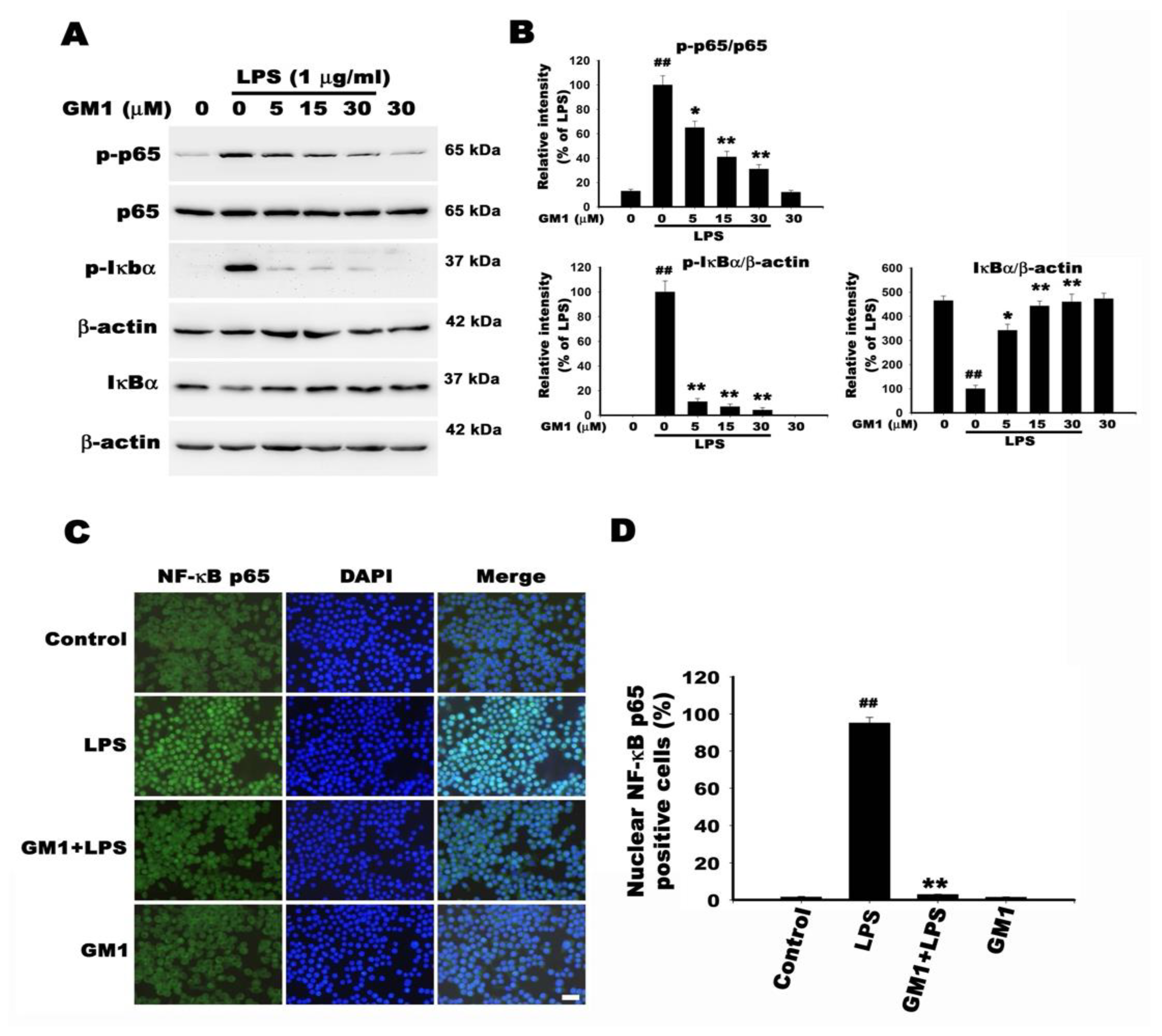 Biomolecules 12 00727 g008 550