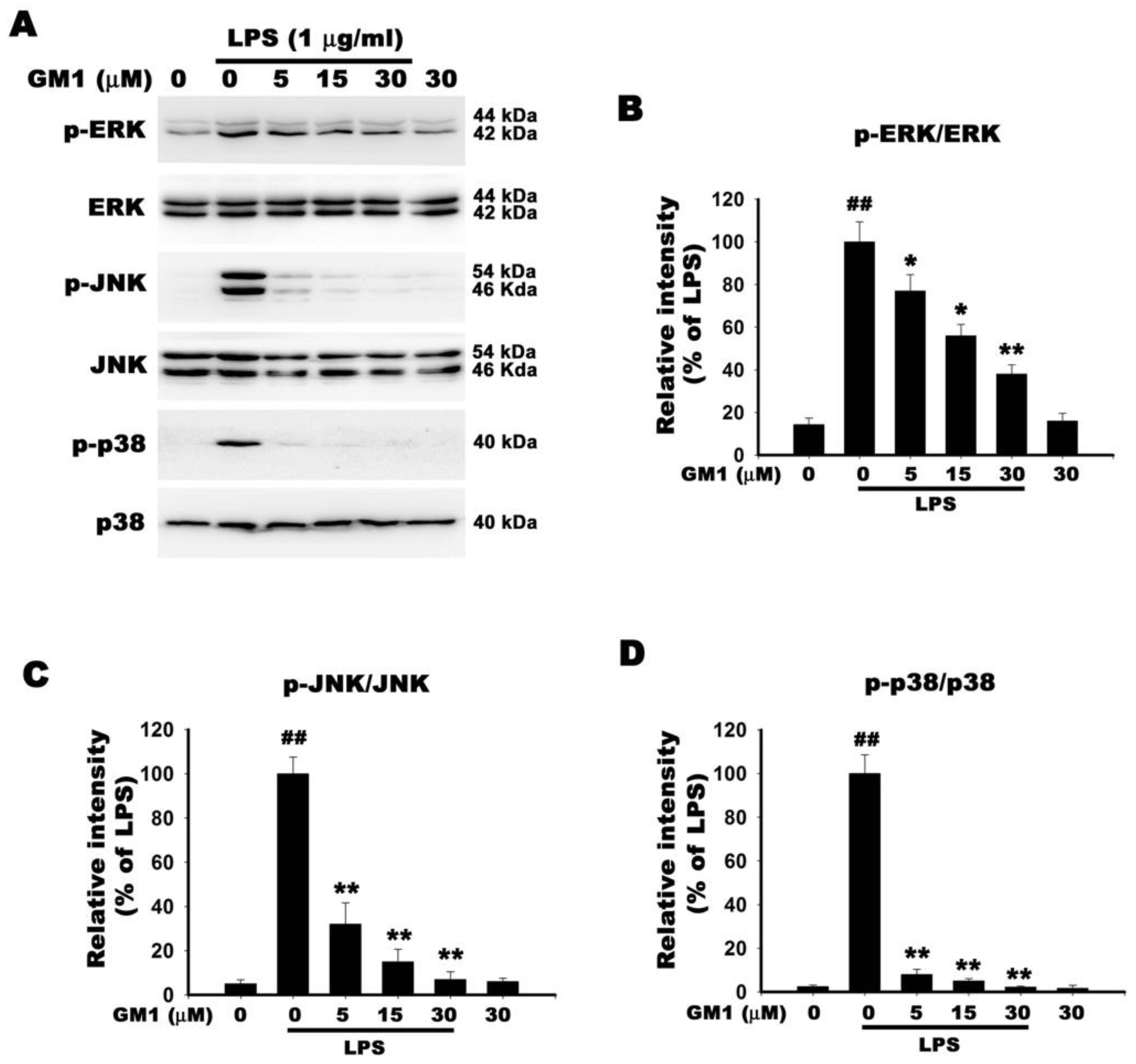 Biomolecules 12 00727 g009 550