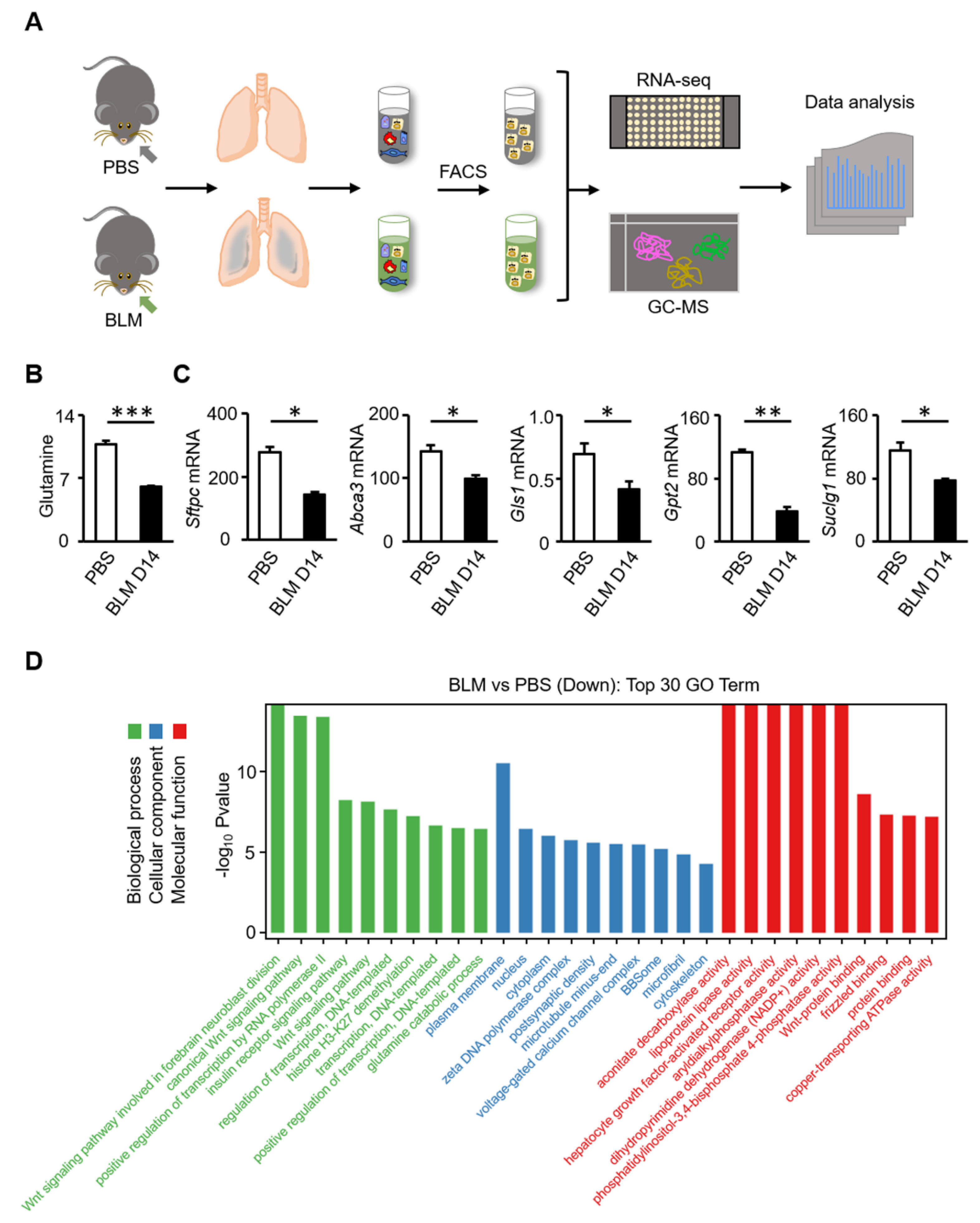Biomolecules 12 00728 g002 550