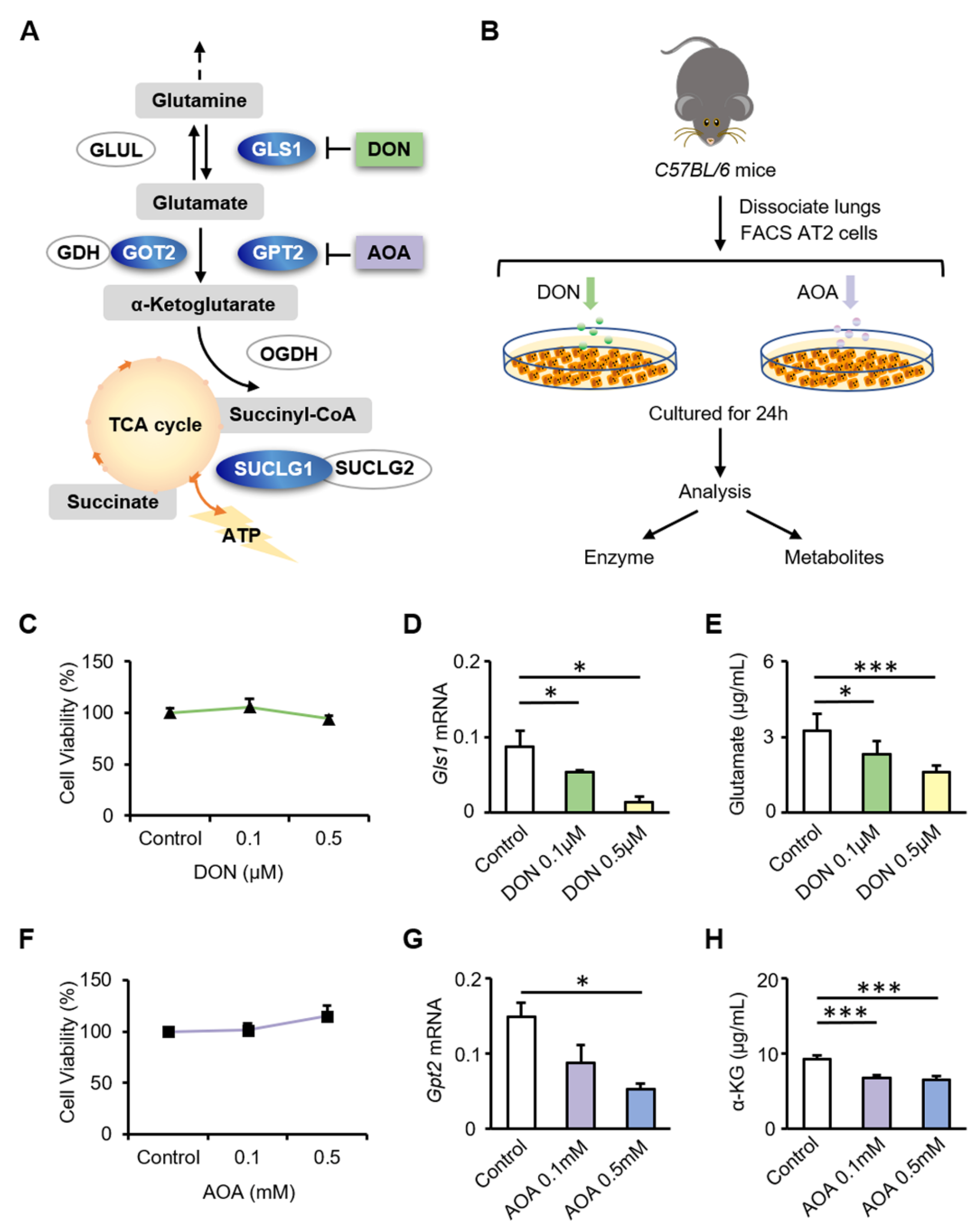 Biomolecules 12 00728 g003 550