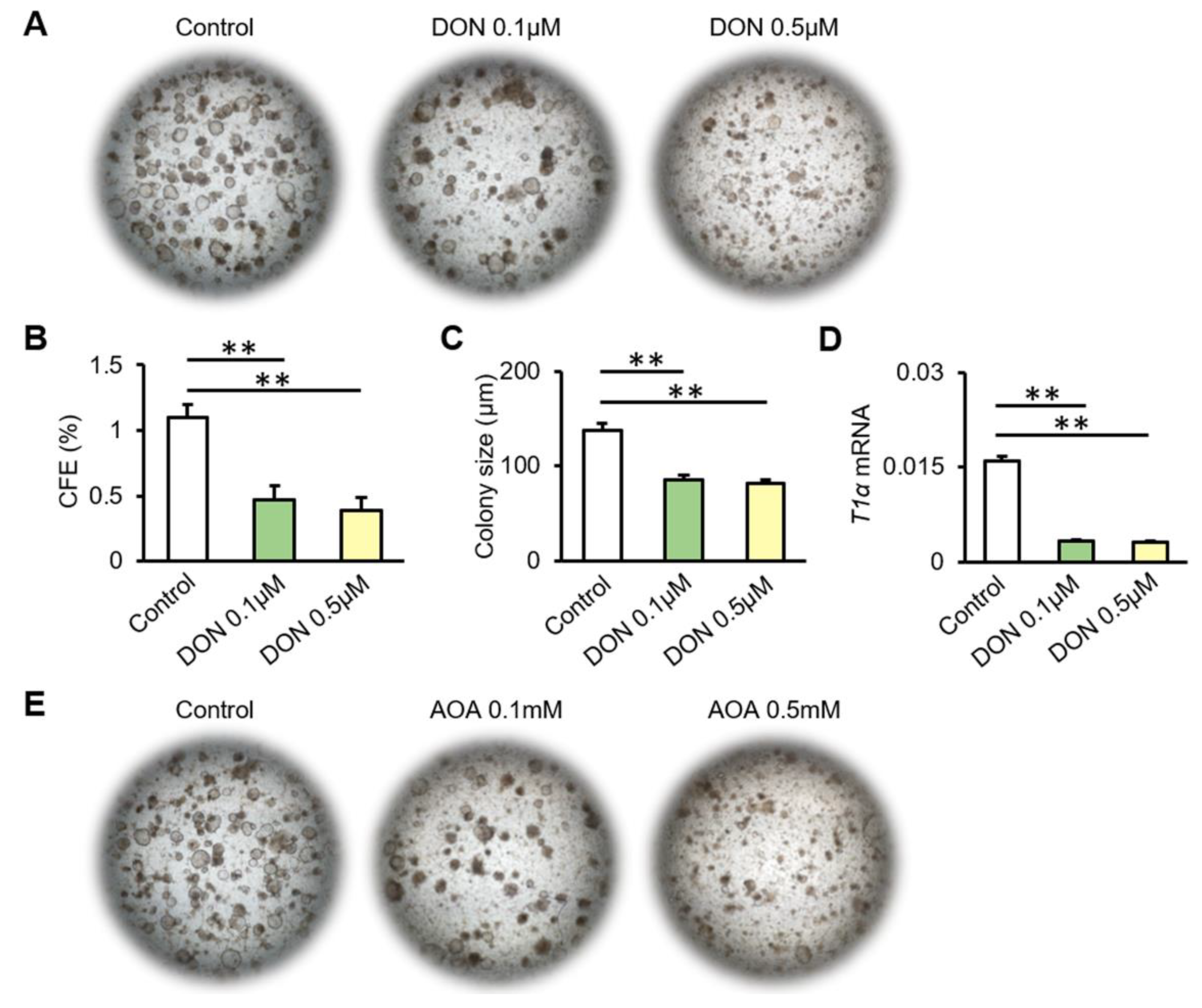 Biomolecules 12 00728 g004a 550